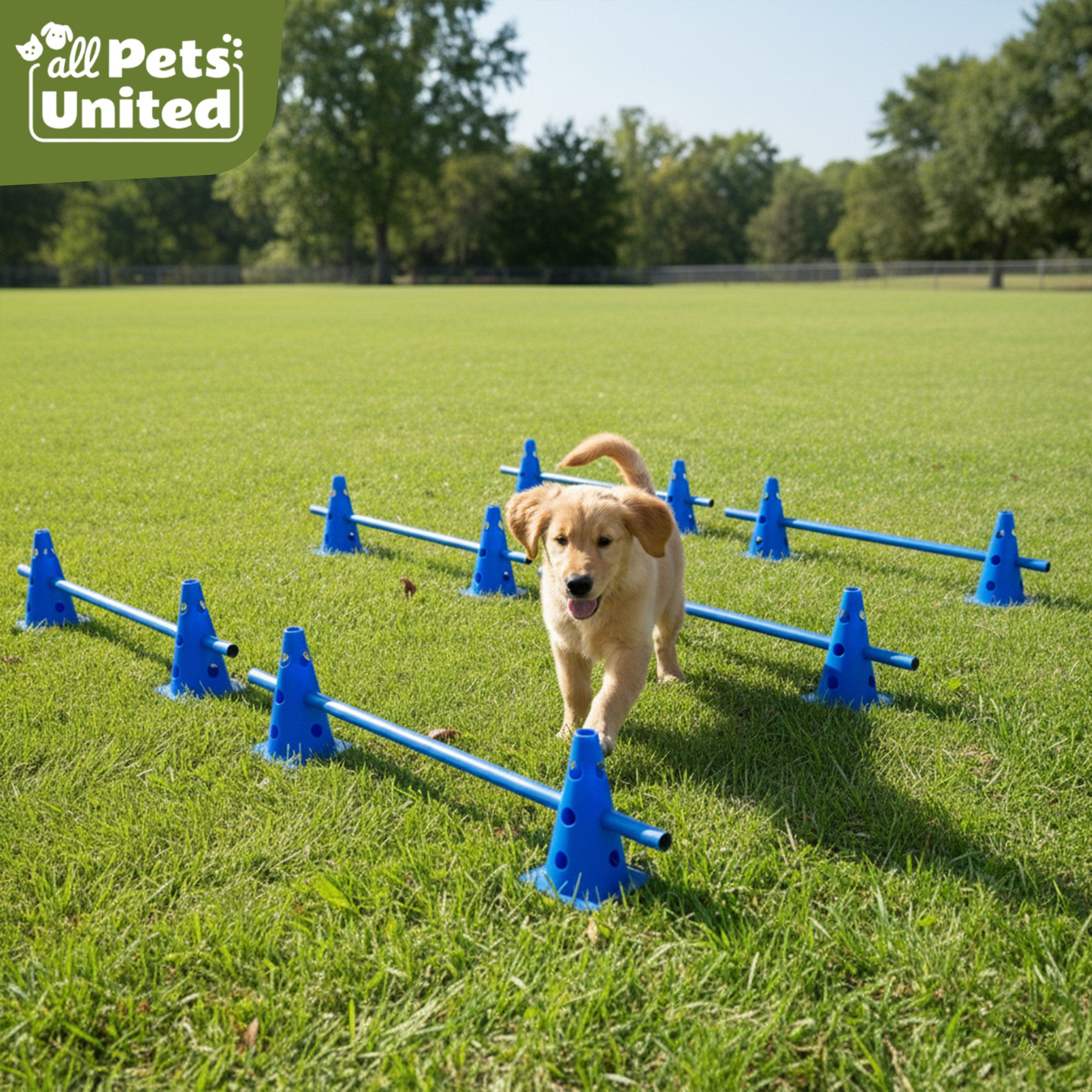 all Pets United Trainingshilfe All Pets United Trainingsset Hund & Kinder, Hunde Sport & Lernhilfe