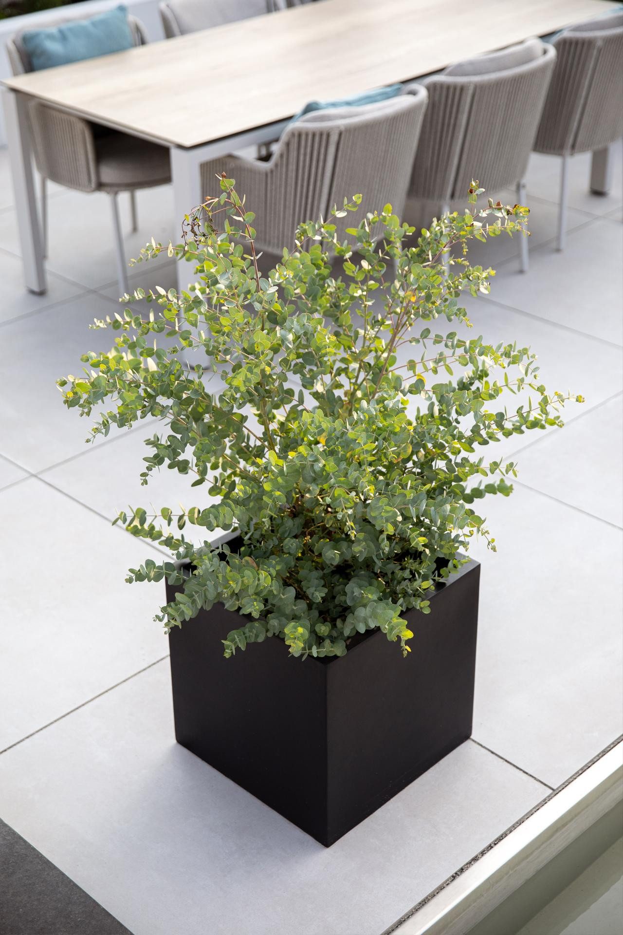 VIVANNO Pflanzkübel Fiberglas BLOCK Würfel - günstig online kaufen