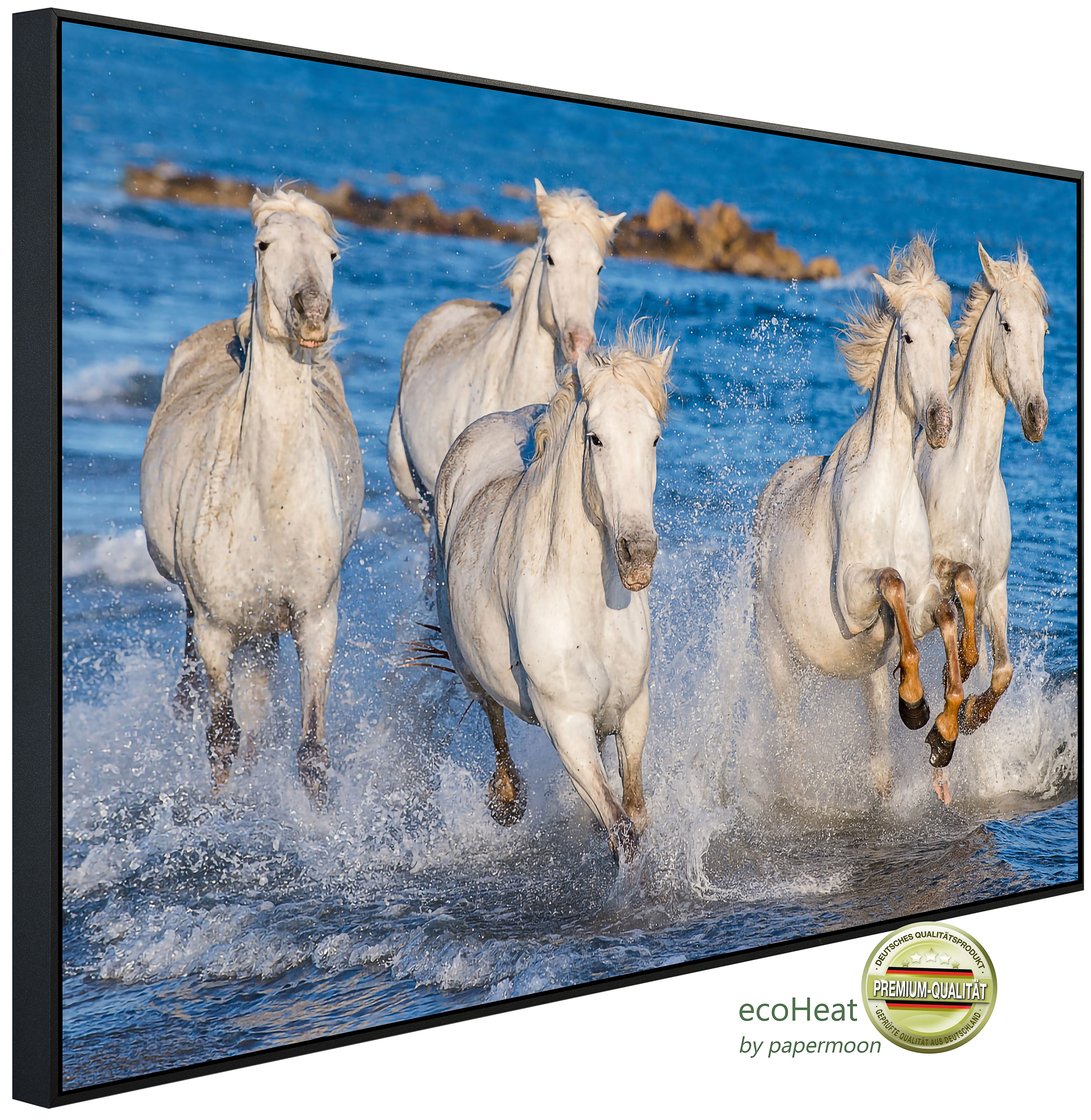 Infrarotheizung INFRAROT-BILD-HEIZUNG, Pferde