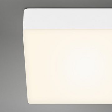 Briloner Leuchten LED Deckenleuchte 7071-016, LED fest verbaut, Warmweiß, weiß, LED, Deckenlampe