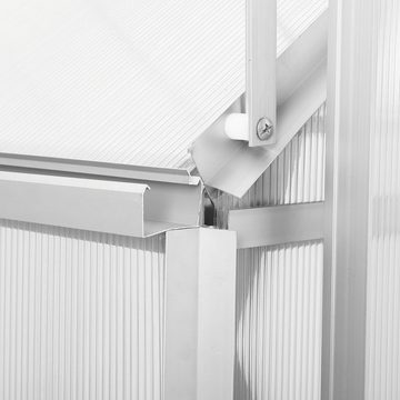Zelsius Gewächshaus Aluminium Gewächshaus SET,4 mm Platten, inkl. Fundament-Rahmen, BxTxH: 190.00 x 250 x 195 cm