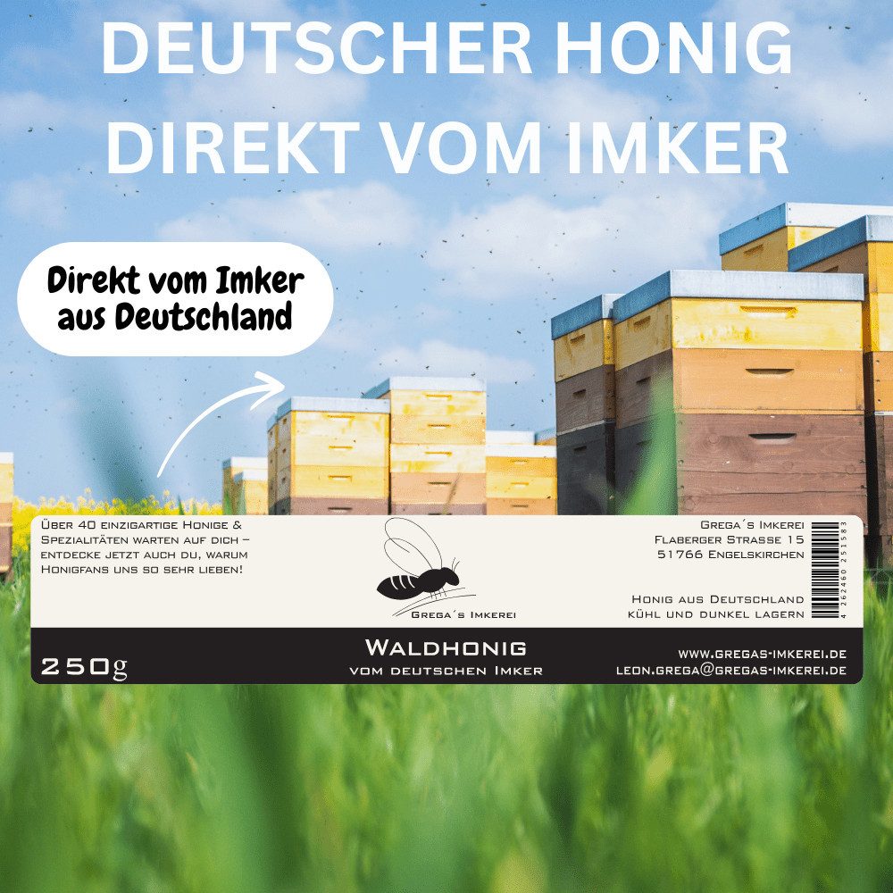 Grega´s Imkerei Honig Waldhonig 250g aus Deutschland, 1 x 250 g, (würzig, natürlich & echt handgemacht, Direkt vom Imker), flüßiger deutscher Waldhonig, echter  – Bild 4 von 5