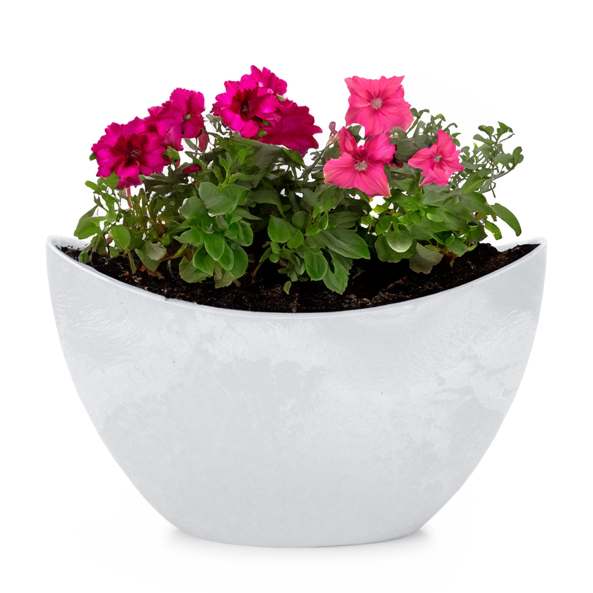 matches21 HOME & HOBBY Blumentopf Hohe Pflanzschale oval Vintage hell-grau 20 x 12 cm wetterfest (1 St), Schiffchen Deko-Schale als Tischdeko Blumen-Schale Outdoor Garten-Deko