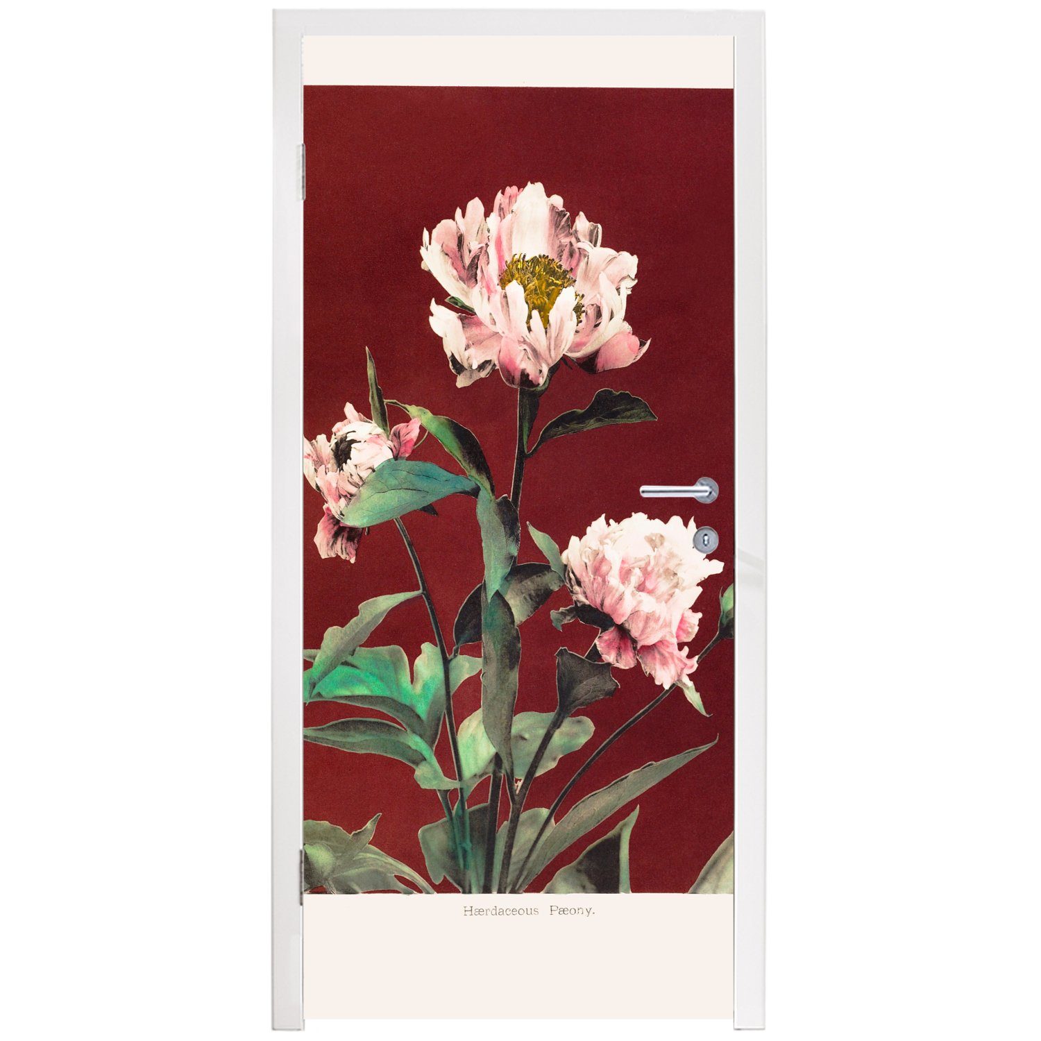 MuchoWow Türtapete Blumen - Pflanzen Farben - 75x205 für St), (1 Matt, Türaufkleber, Tür, cm - Rot Fototapete bedruckt, - Vintage