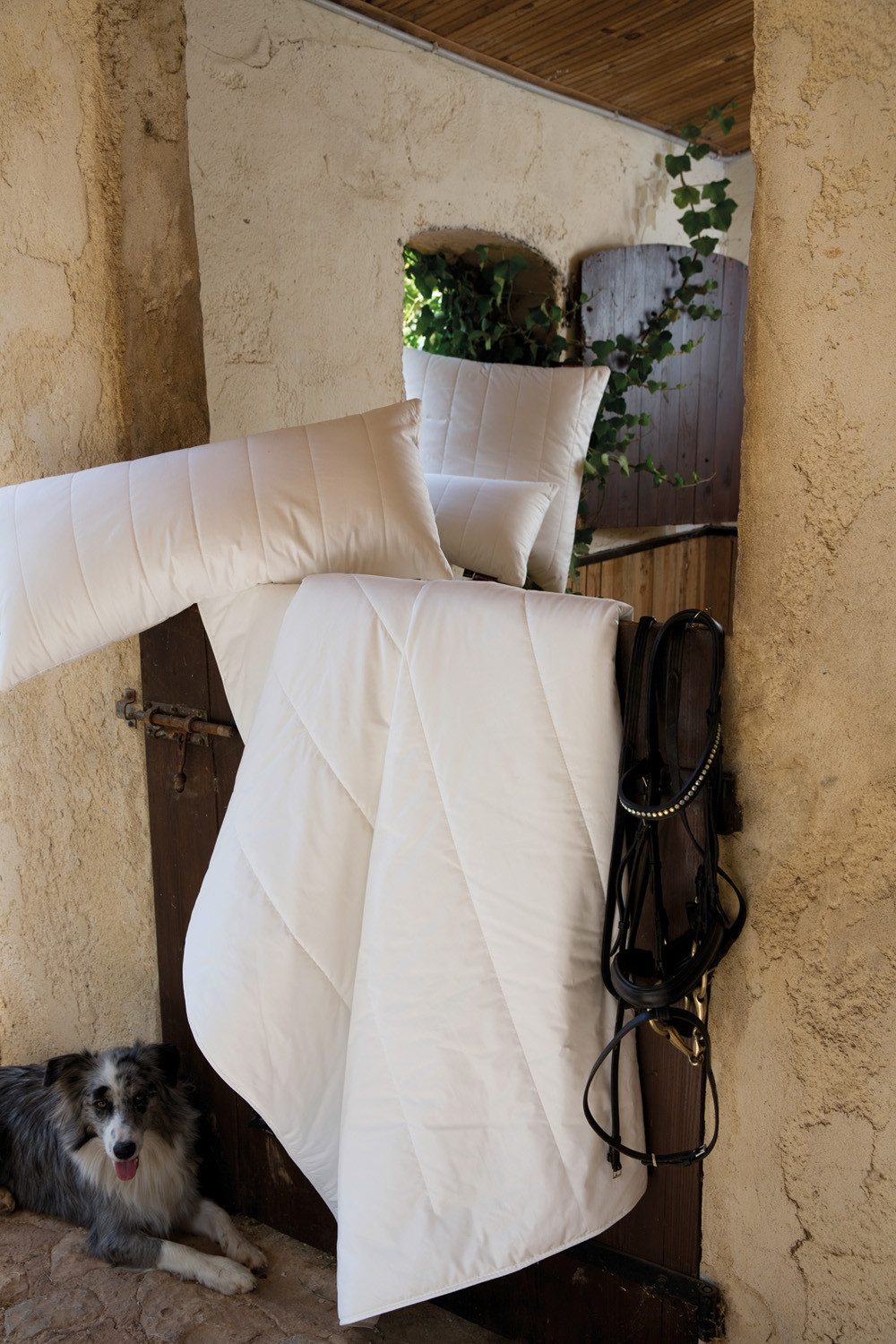 Centa-Star Baumwollbettdecke EXTRA ORGANIC COTTON, Leicht-Steppbett, Füllung: Vlies, Bezug: Baumwolle, 135 x 200 cm, Made in Germany