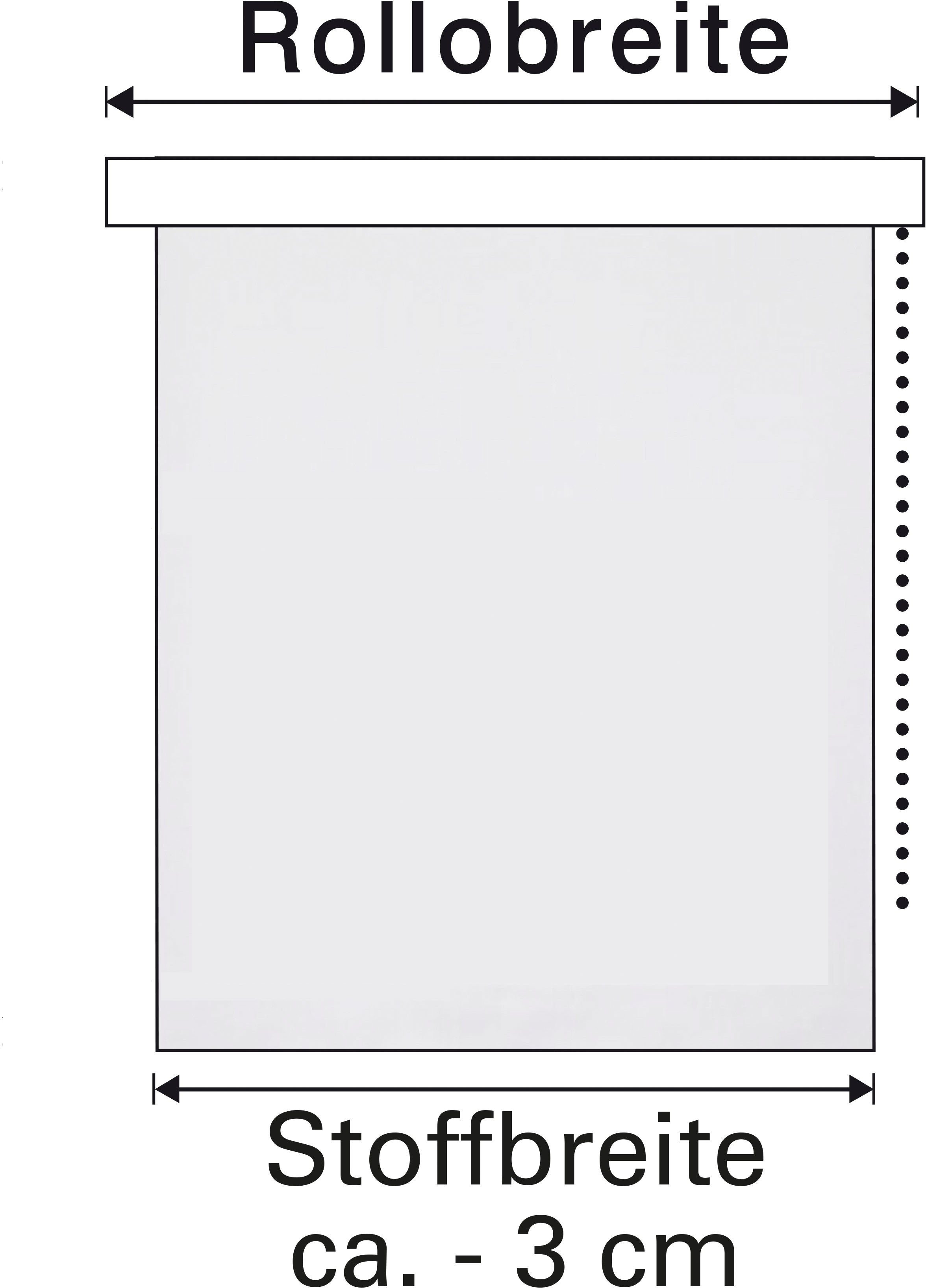 Seitenzugrollo Easyfix Motiv ohne mit Digiprint, Klemmfix, blickdicht, Bohren, Weidenkätzchen GARDINIA, Rollo