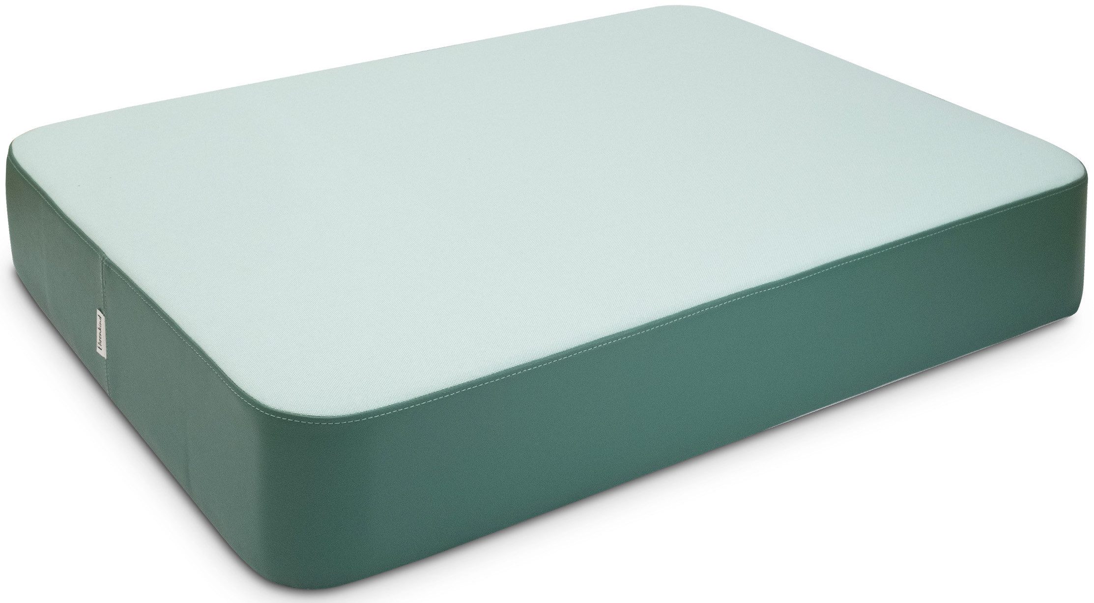 Ehrenkind Weichbodenmatte Hüpfpolster Sprungpolster 97 × 70 × 17 cm (Turnmatte Kinder, Ab 3 Jahren, Bis 40kg), Hüpfmatratze sicher & robust - Made in Germany