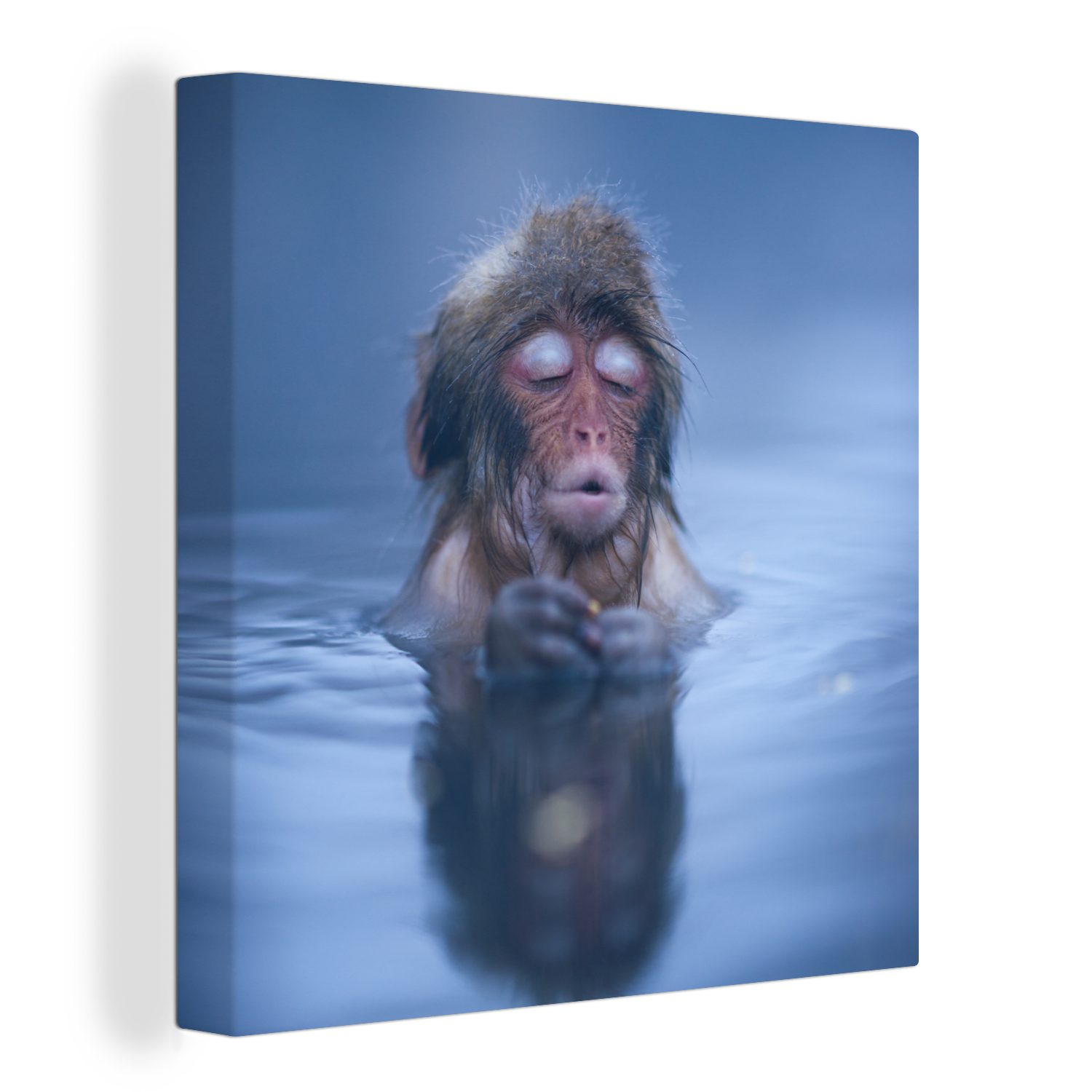 Wasser - Bilder Spiegelung - - Leinwand für OneMillionCanvasses® Leinwandbild St), Wohnzimmer Schlafzimmer Affe (1 Tiere,