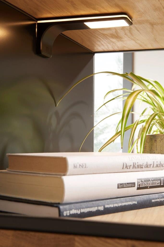 FURNARO Vitrine Wildeiche massiv natur geölt günstig online kaufen