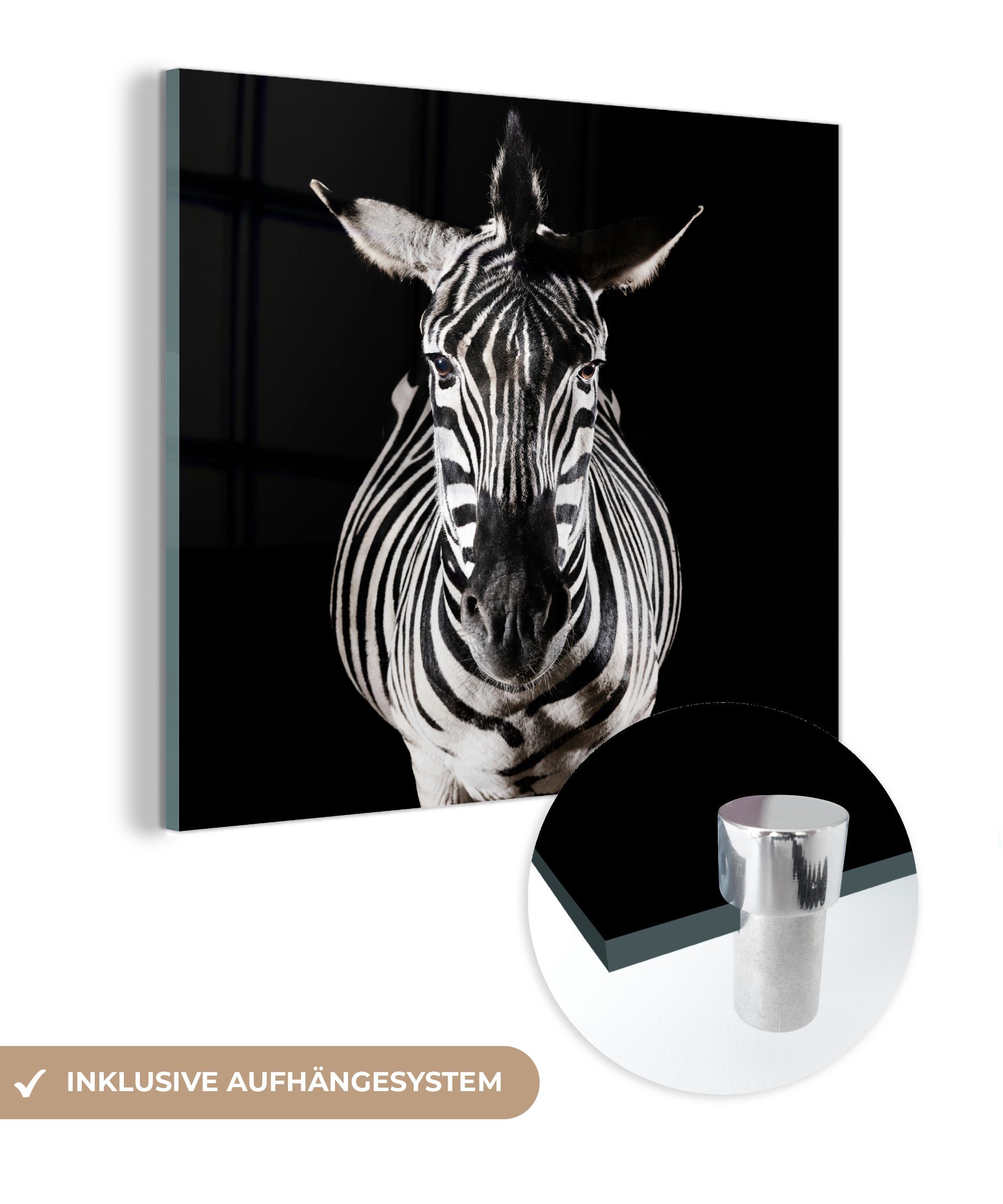 MuchoWow Acrylglasbild Zebra auf schwarzem Hintergrund, (1 St), Glasbilder - Bilder auf Glas Wandbild - Foto auf Glas - Wanddekoration