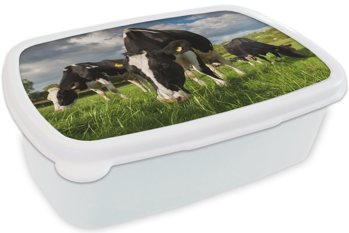 weiß MuchoWow Brotdose, Lunchbox Tiere Wiese - und Gras Mädchen für Kühe Bauernhof, Erwachsene, Kunststoff, Kinder für Jungs Brotbox - (2-tlg), und - -