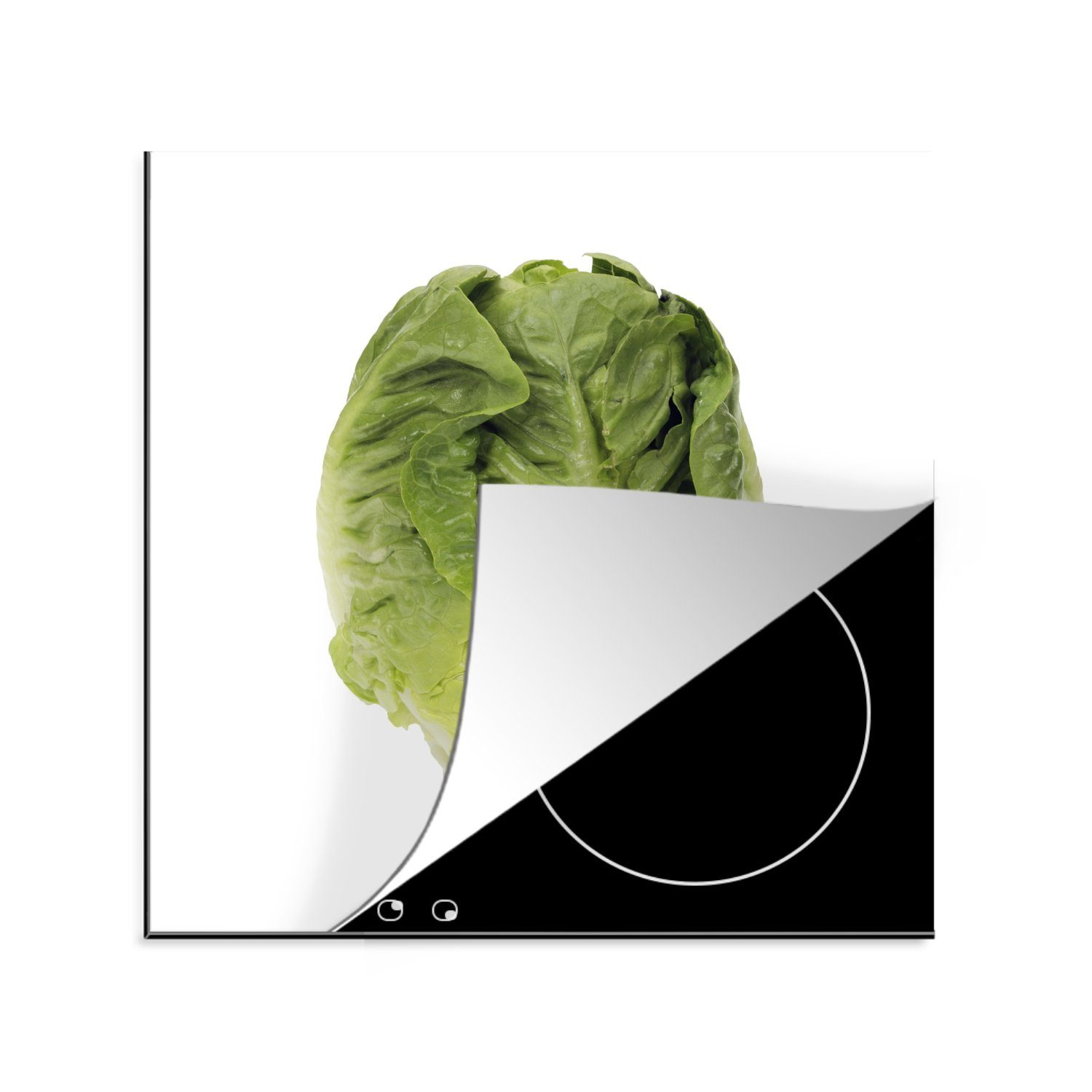 MuchoWow Herdblende-/Abdeckplatte Dunkelgrüner Kopfsalat vor weißem Hintergrund, Vinyl, (1 tlg), 78x78 cm, Ceranfeldabdeckung, Arbeitsplatte für küche
