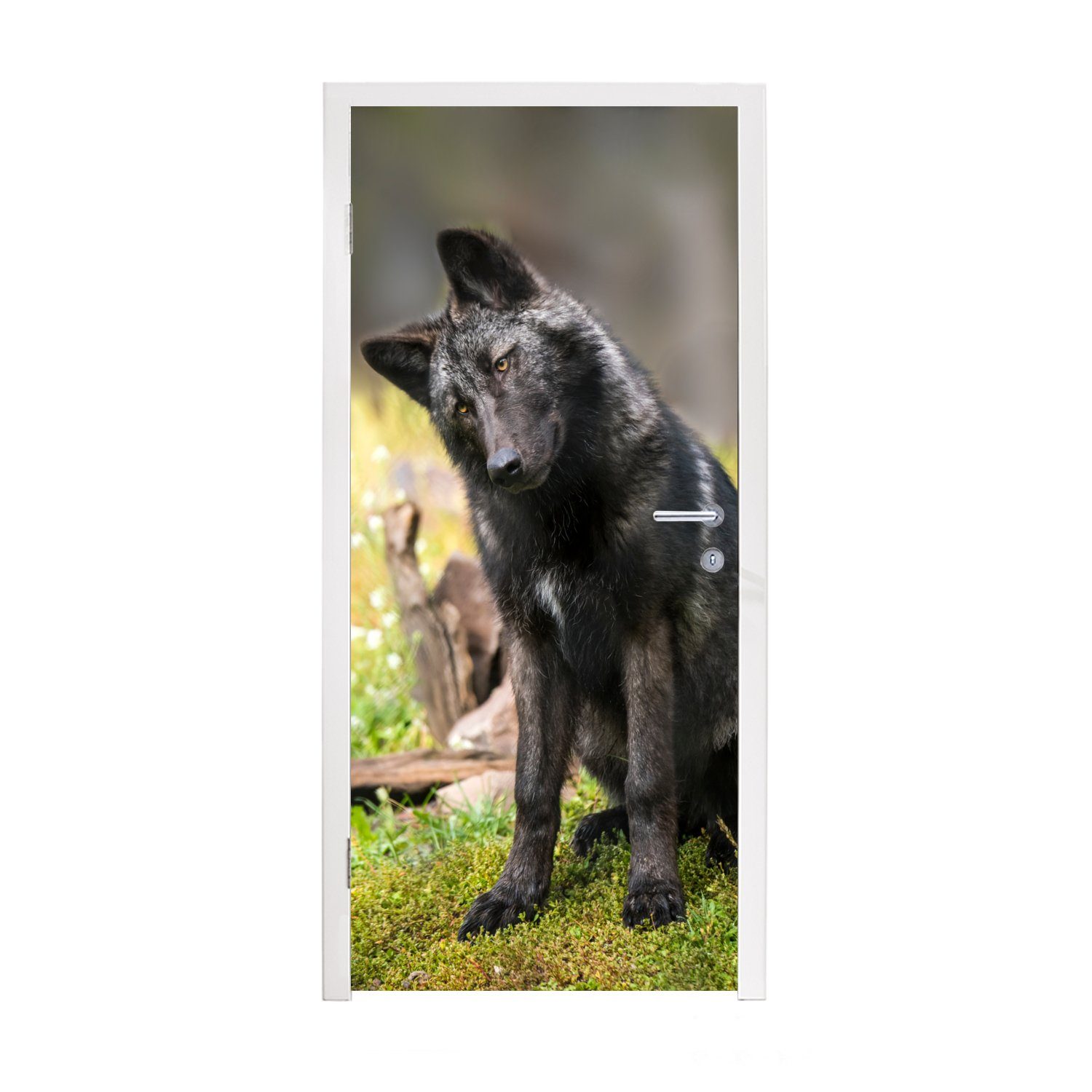cm Wolf Türaufkleber, (1 bedruckt, Fototapete Türtapete für Schwarz St), - Tür, - MuchoWow 75x205 Gras, Matt,
