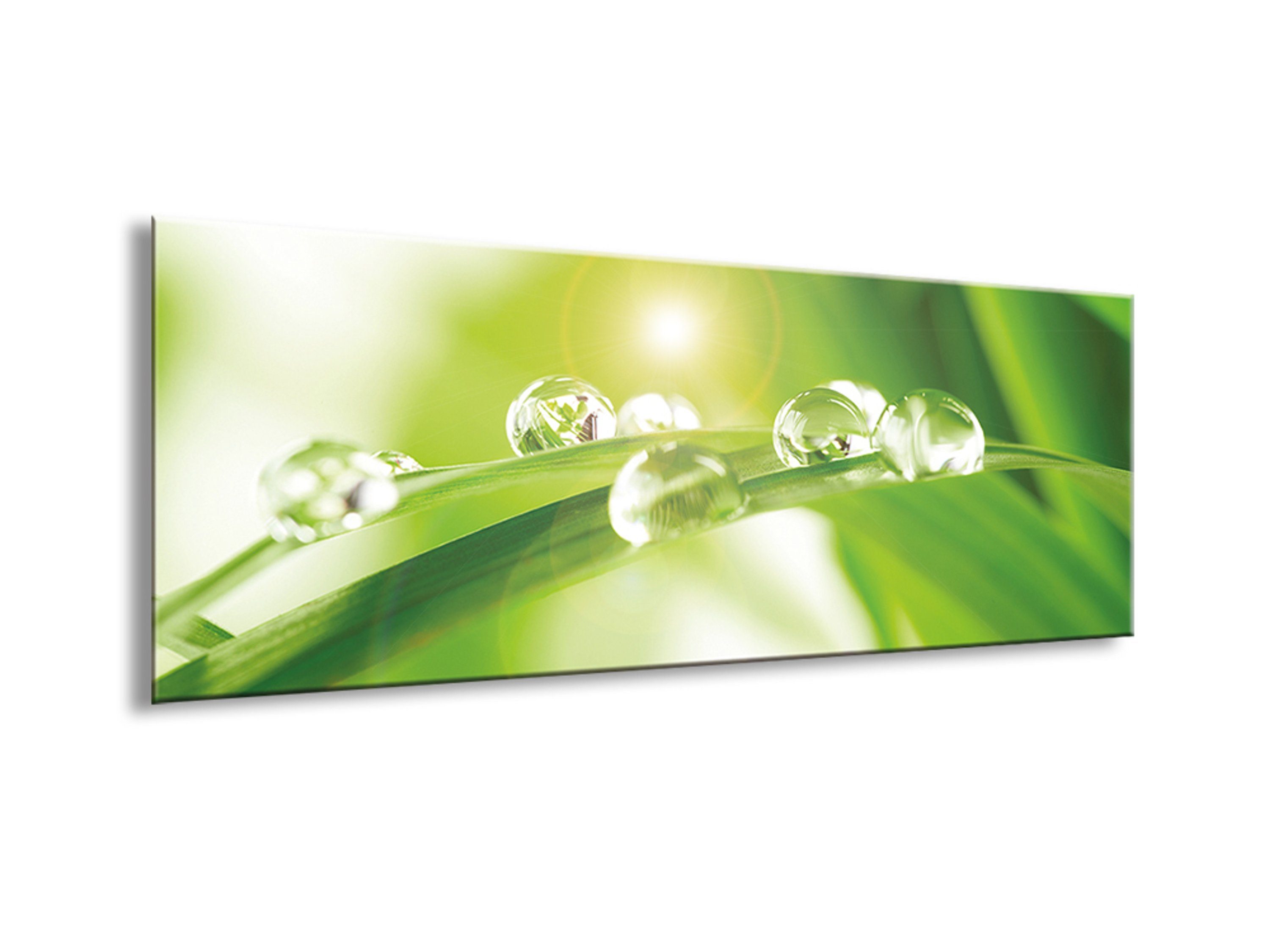 artissimo Glasbild Glasbild 80x30cm Bild Blatt Wellness Natur: Wassertropfen Glas mit Blatt Spa aus grün