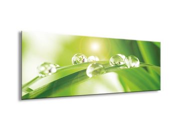 artissimo Glasbild Glasbild 80x30cm Bild aus Glas Spa Wellness Blatt grün, Natur: Blatt mit Wassertropfen