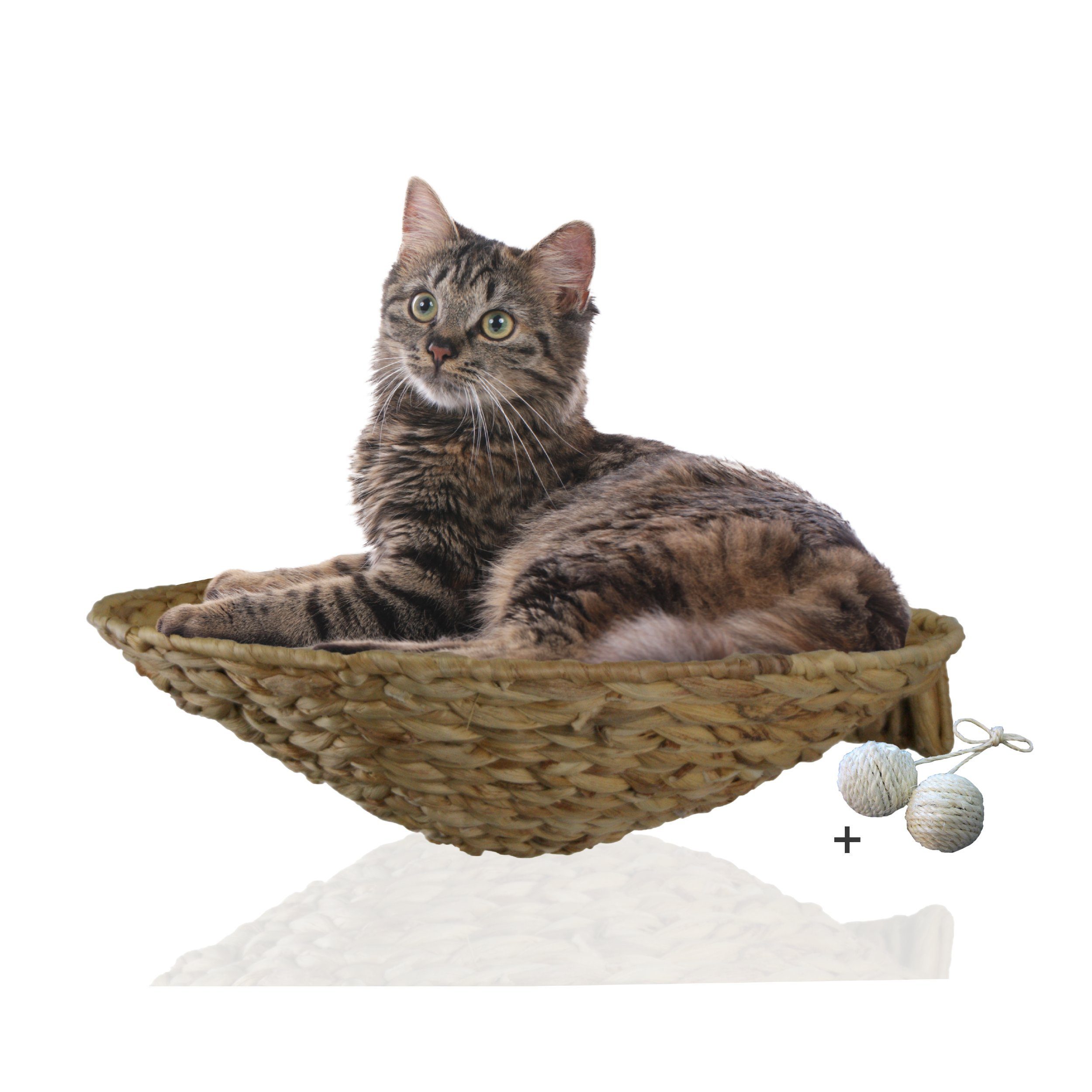 Rohrschneider Katzen-Kletterwand runde Katzenmulde Wandmontage Katzenbett günstig online kaufen