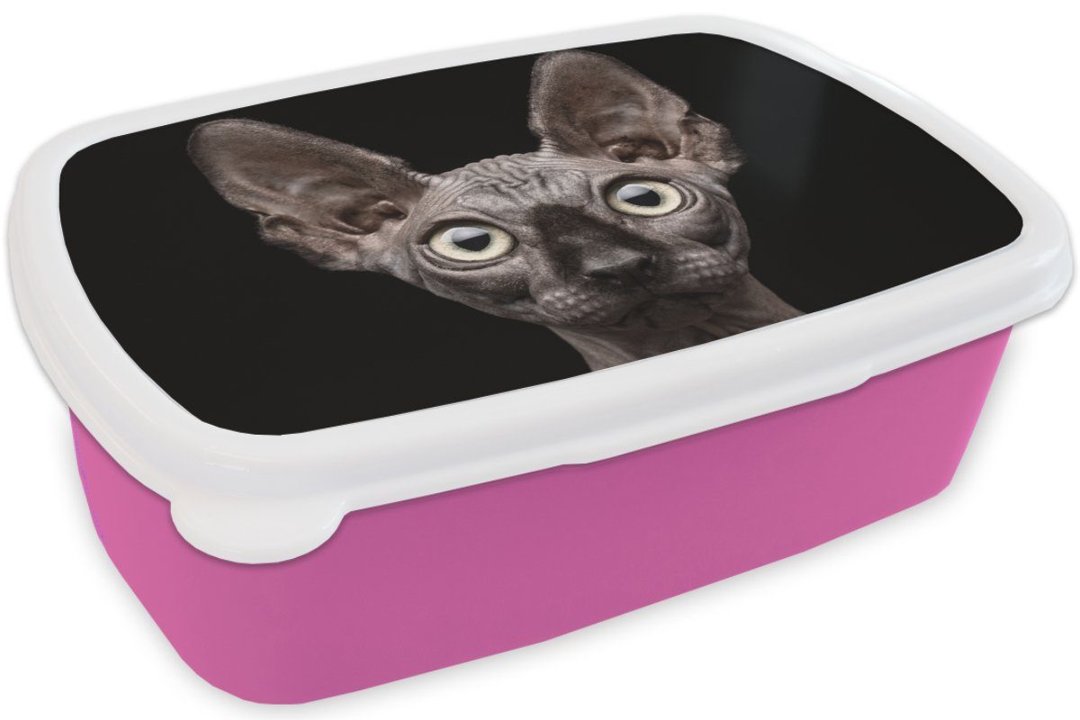 Brotdose Snackbox, Kunststoff rosa (2-tlg), Brotbox Lunchbox Kunststoff, Schwarz, für Mädchen, - - MuchoWow Katze Kinder, Haustiere - Erwachsene, Porträt