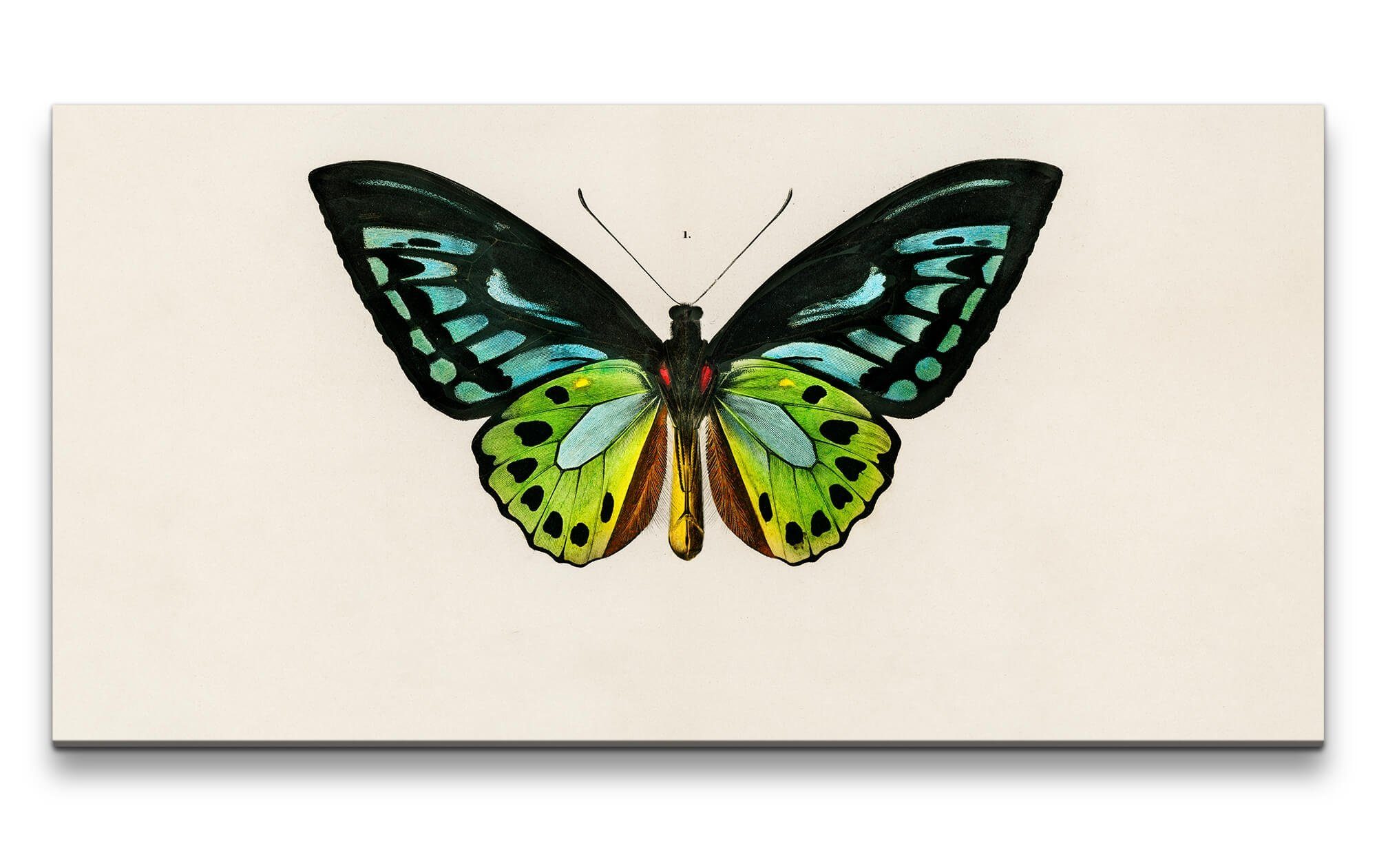 Sinus Art Leinwandbild, (1 St). € 33,00