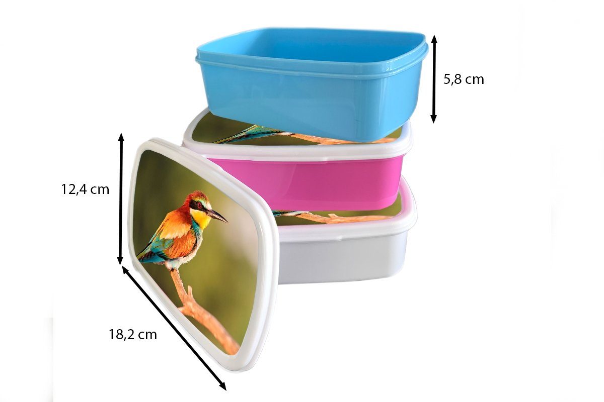 MuchoWow Lunchbox Vögel - und - Brotdose, Regenbogen - Bienenfresser für Kinder weiß für Mädchen Brotbox Jungs und (2-tlg), Kunststoff, Erwachsene, Tiere