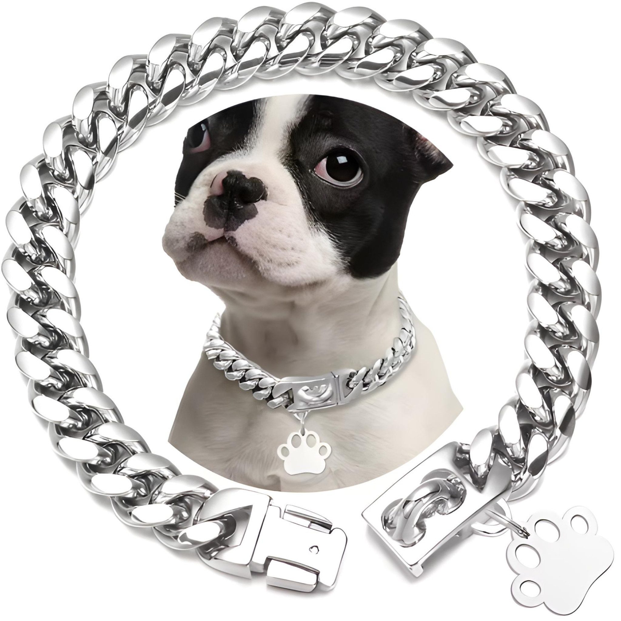 HS.SUPPLY Hunde-Halsband Hundekette aus Edelstahl inkl. Hundeleine, Sicheres Hundehalsband als stylische Kette