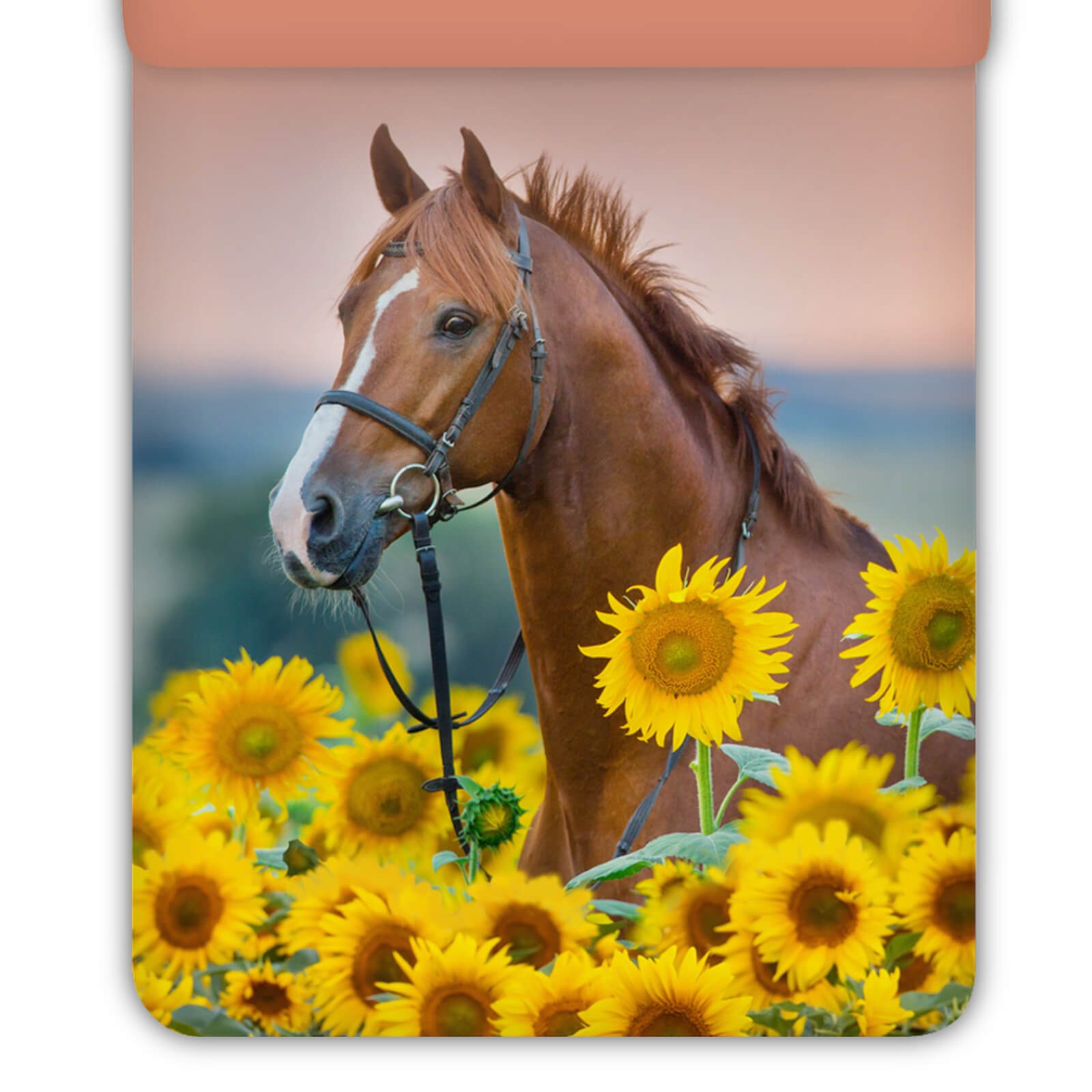 ESPiCO Kinderbettwäsche Pferd Sonnenblumen Trendy Bedding, Renforcé, 2 teilig, Pferd, Sonnenblumen, Landschaft