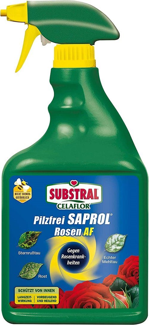 Celaflor PflanzenPilzfrei Substral Celaflor Pilzfrei Saprol Rosen AF