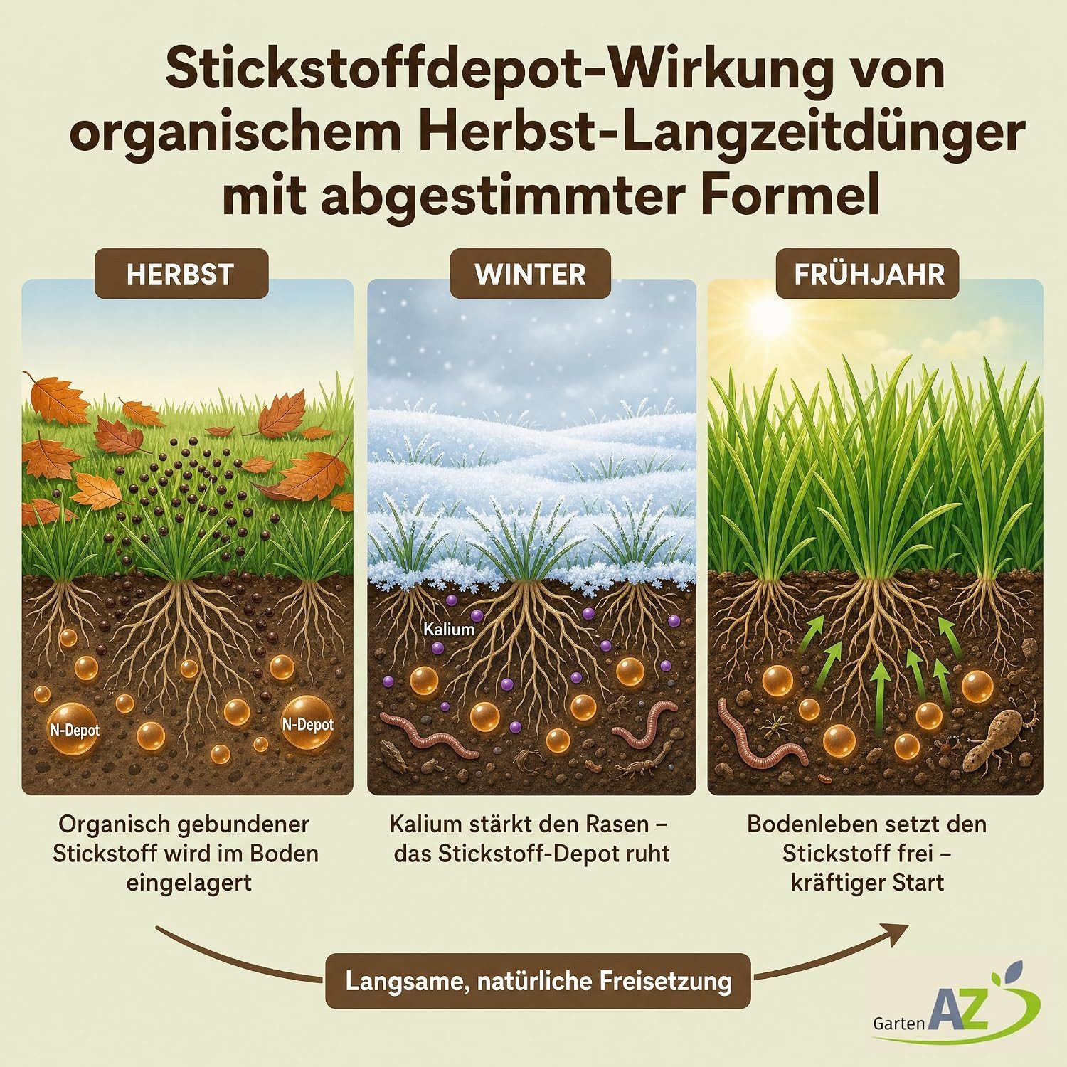 GartenAZ Rasendünger GartenAZ Organischer Herbstrasendünger, Organisch, Organischer Herbstrasendünger für einen winterfesten Rasen – Bild 5 von 5