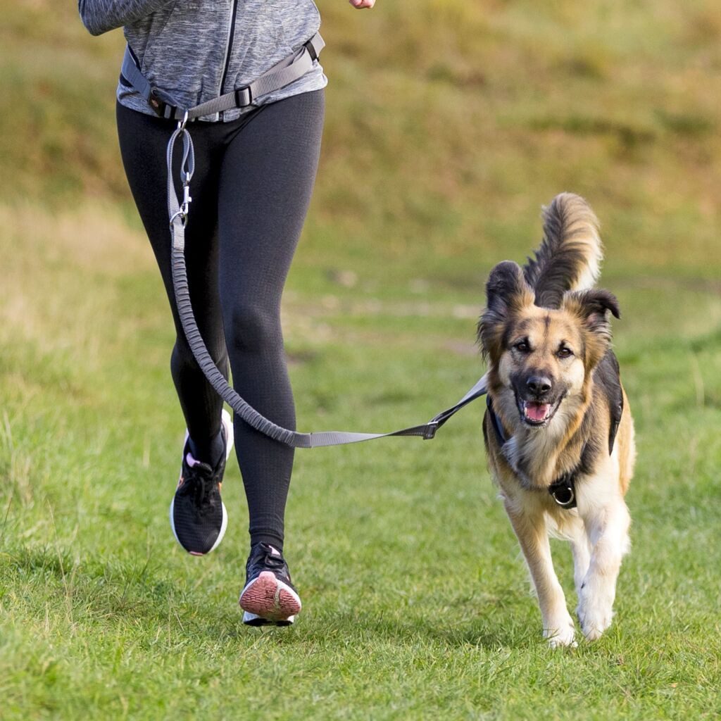 TRIXIE Joggingleine Bauchgurt mit Leine für mittelgroße und große Hunde - grafit/schwarz -, Kunststoff