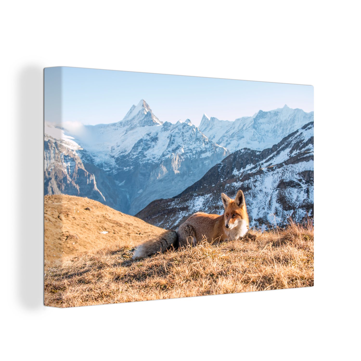 OneMillionCanvasses® Leinwandbild Fuchs - Berg 30x20 Aufhängefertig, St), Wanddeko, (1 Gras, cm - Wandbild Leinwandbilder