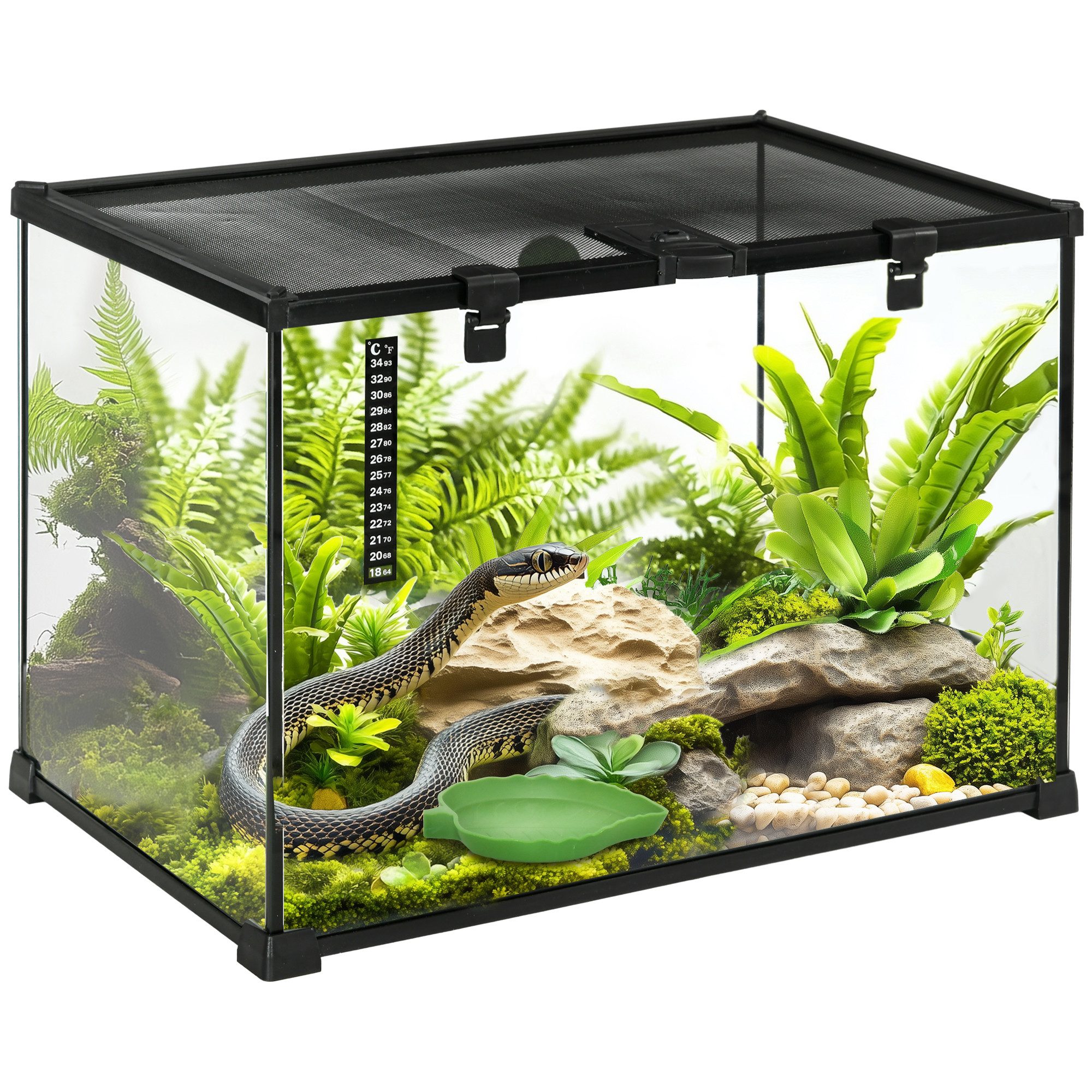 Terrarium mit Thermometer