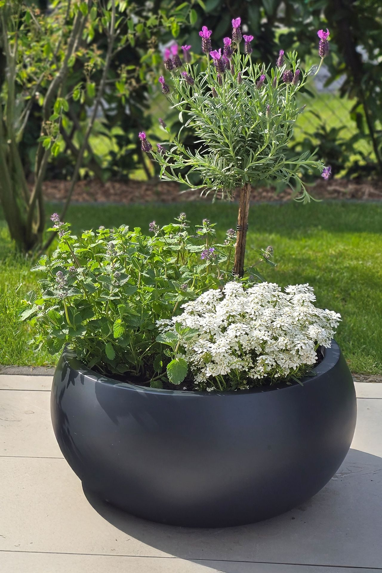 VIVANNO Blumentopf Fiberglas MORINO Rund - Anthrazit Matt (1 St), 45x21 cm günstig online kaufen