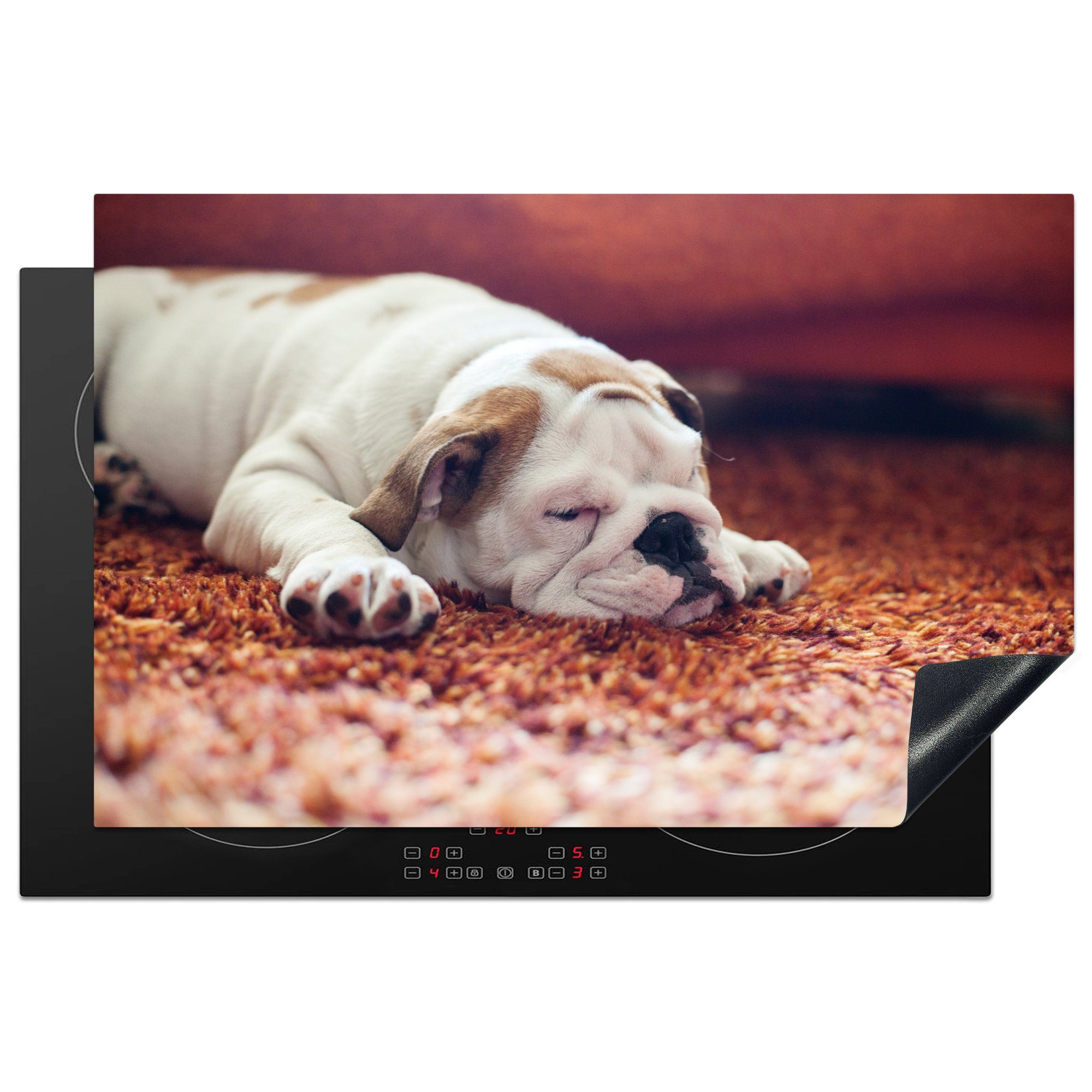 MuchoWow Herdblende-/Abdeckplatte Englische Bulldogge schläft auf einem Teppich, Vinyl, (1 tlg), 81x52 cm, Induktionskochfeld Schutz für die küche, Ceranfeldabdeckung