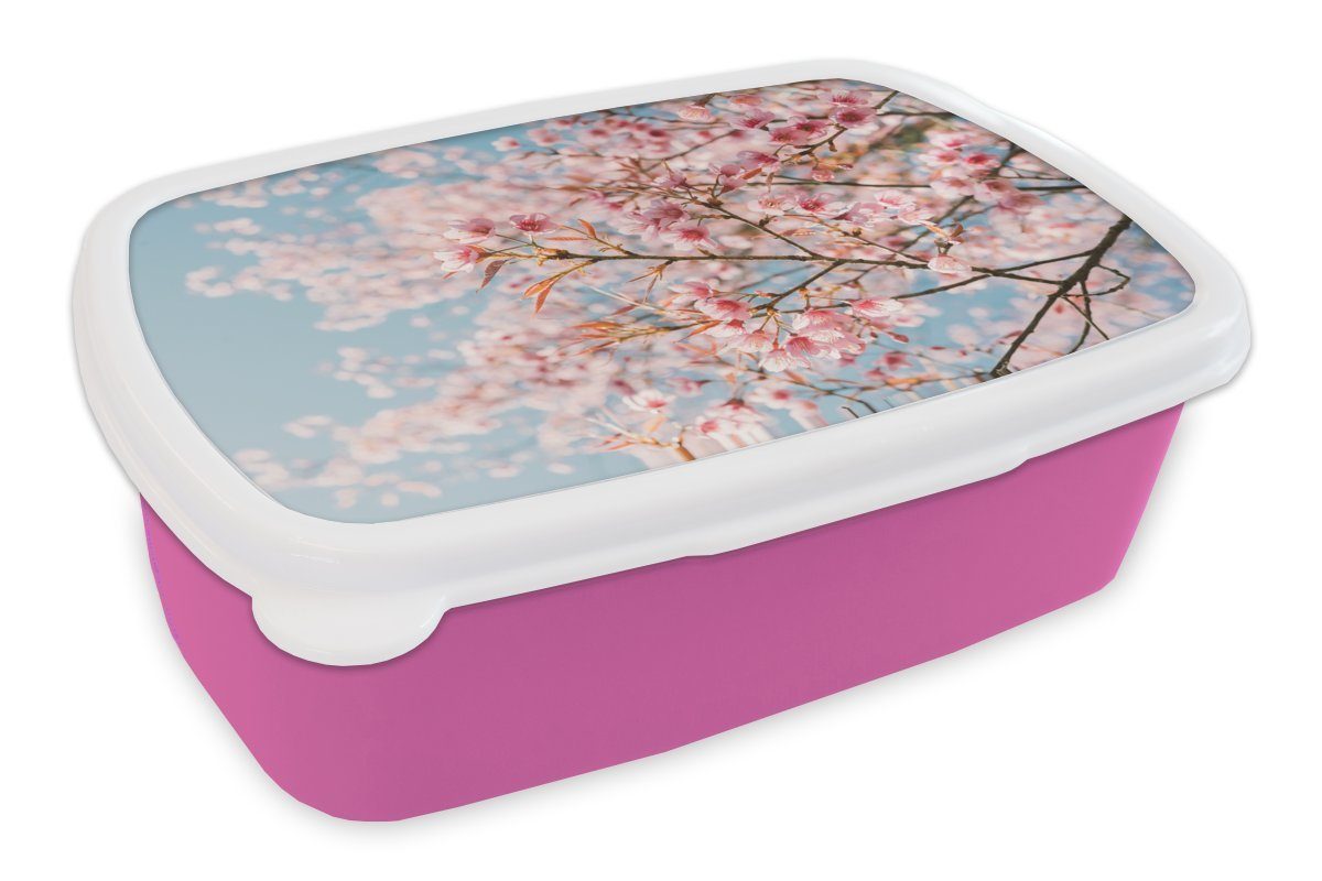 MuchoWow Lunchbox Sakura - Frühling - Zweige, Kunststoff, (2-tlg), Brotbox für Erwachsene, Brotdose Kinder, Snackbox, Mädchen, Kunststoff rosa