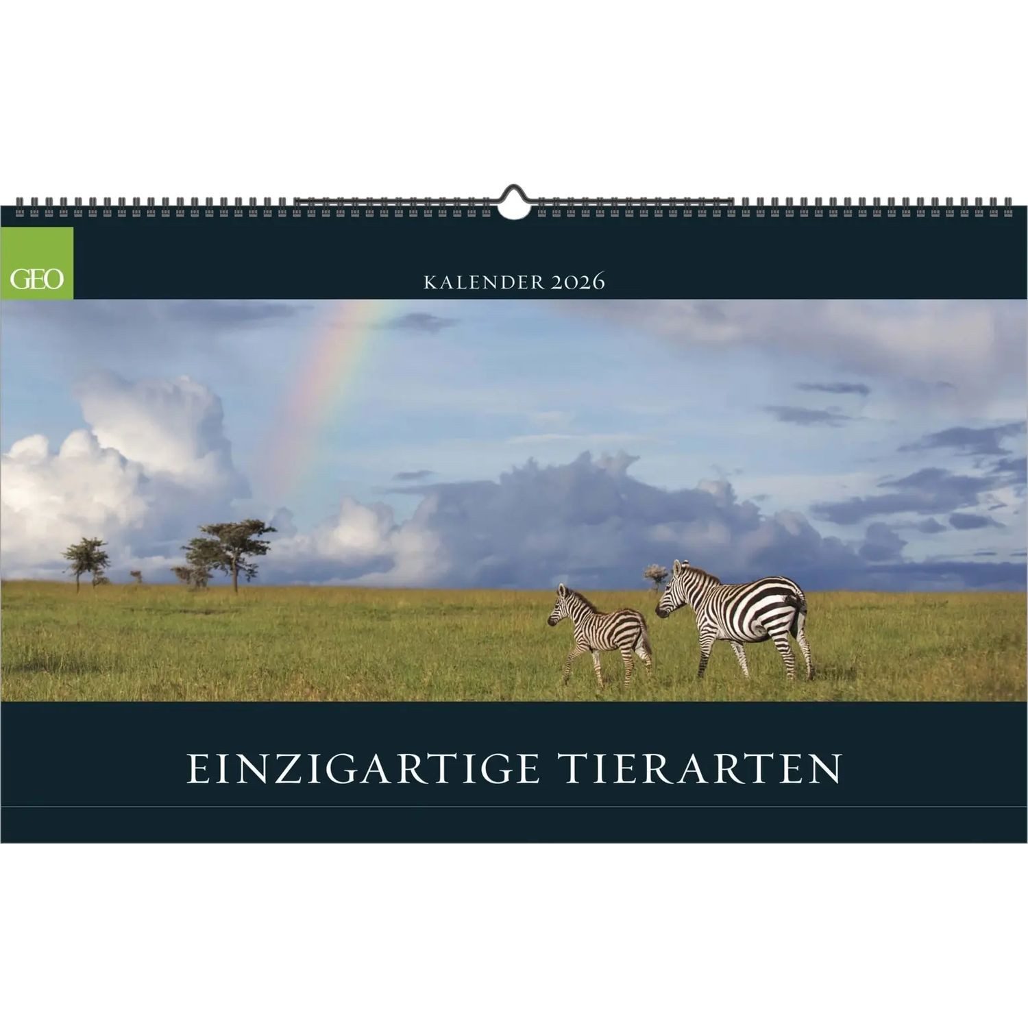 GEO Wandkalender GEO - Einzigartige Tierarten 2026 - Wandkalender 58x36 cm,...