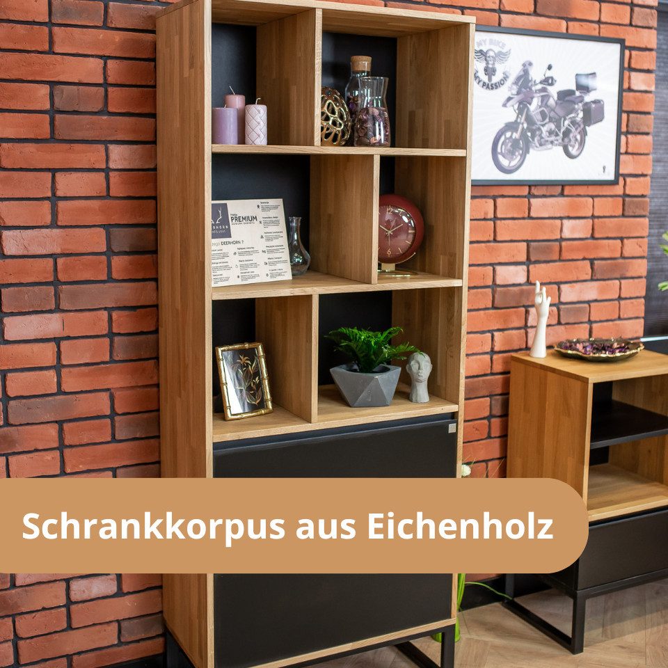 Deerhorn Bücherregal Schrank & Regal Loft Office Plus 200x80x40 cm, Soft-Close Fronten