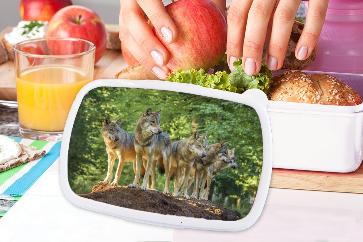 Kinder - und Brotbox Wolf weiß Lunchbox Brotdose, für Kunststoff, Braun Jungs für - Wald, MuchoWow (2-tlg), und Mädchen Erwachsene,