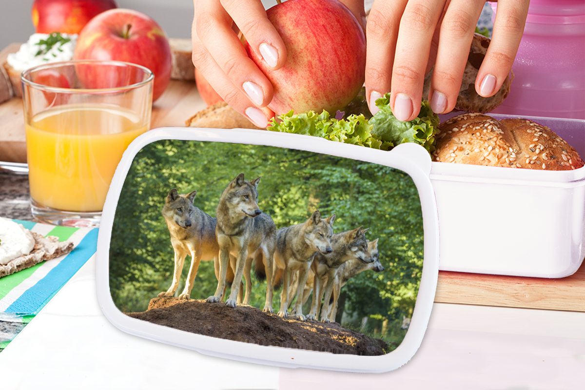 MuchoWow Lunchbox Wolf - Braun Jungs für Mädchen und - Wald, Kinder (2-tlg), Brotbox weiß Brotdose, Erwachsene, für Kunststoff, und