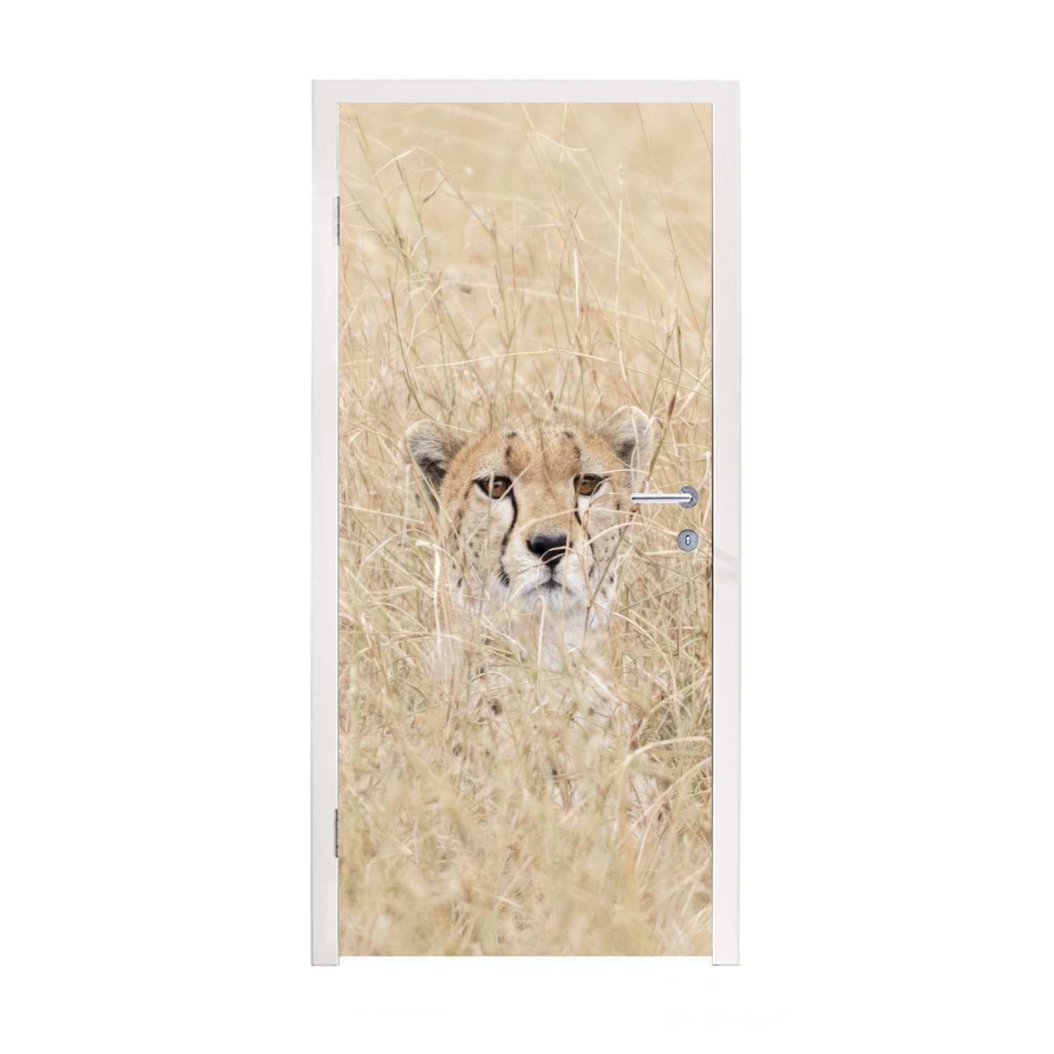 MuchoWow Türtapete Versteckter Gepard im hohen Gras, Matt, bedruckt, (1 St), Fototapete für Tür, Türaufkleber, 75x205 cm