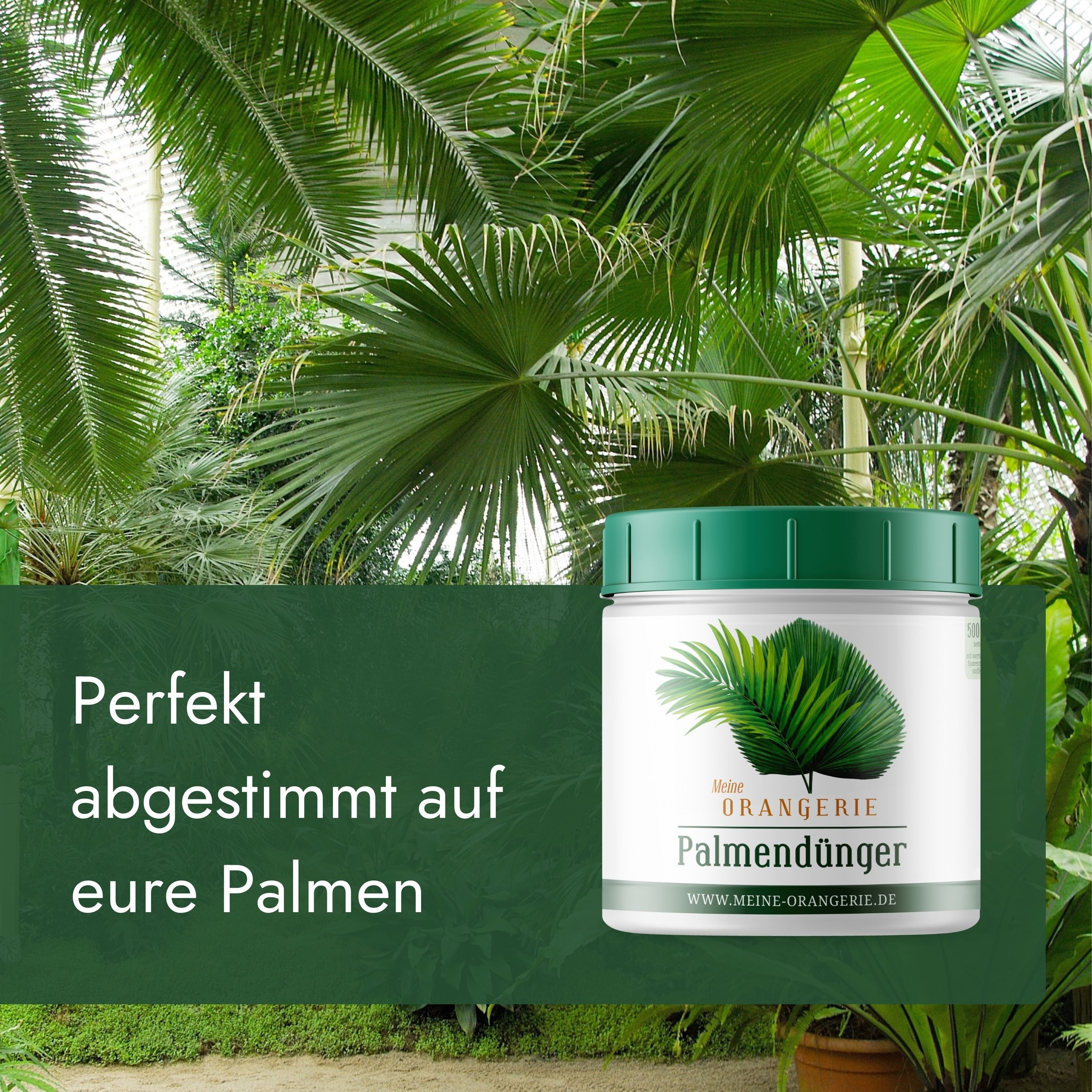 Meine Orangerie Spezialdünger Premium Pflanzendünger für alle Palmen, Dose, günstig online kaufen
