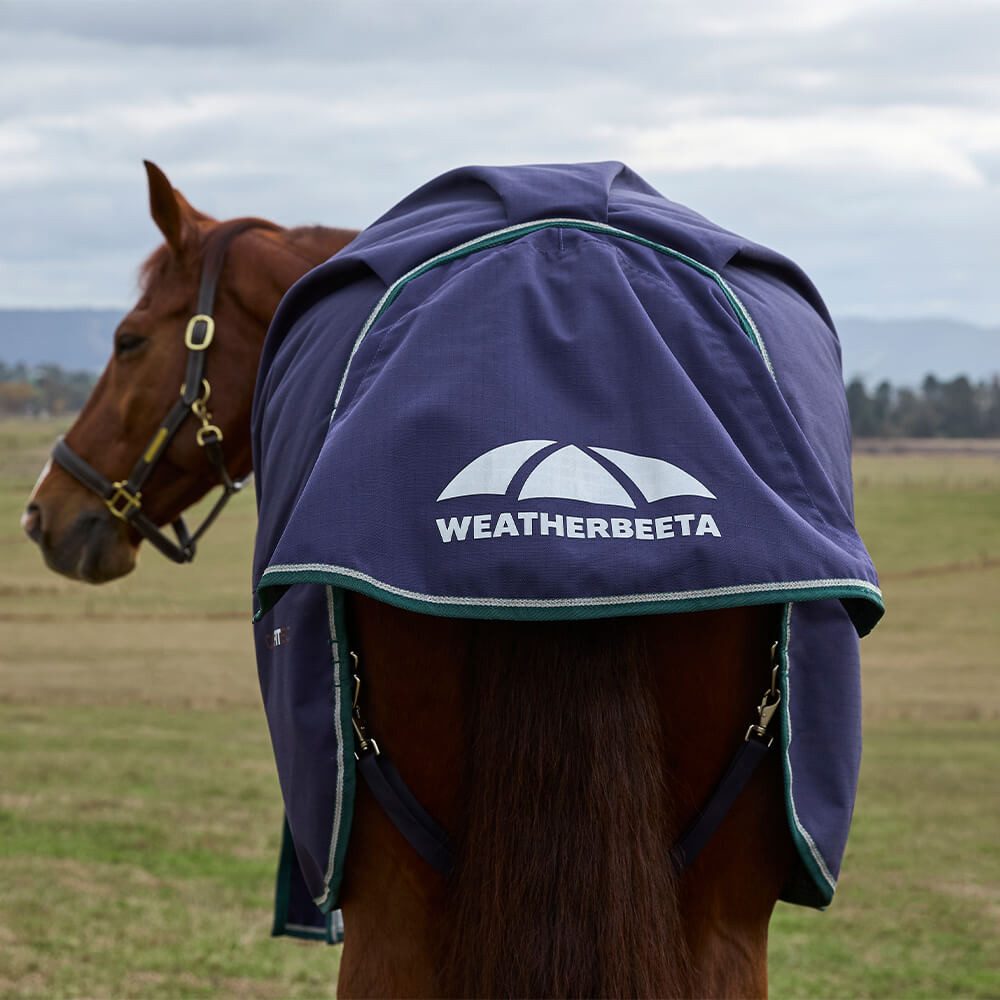 WeatherBeeta Pferde-Thermodecke Weatherbeeta Comfitec Plus Dynamic Turnout 100g