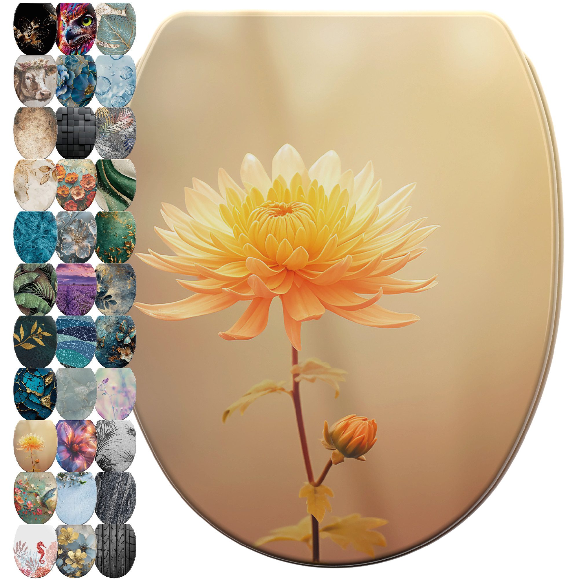 Sanilo WC-Sitz mit Absenkautomatik & Top Fix in vielen Designs, hochwertig, günstig online kaufen