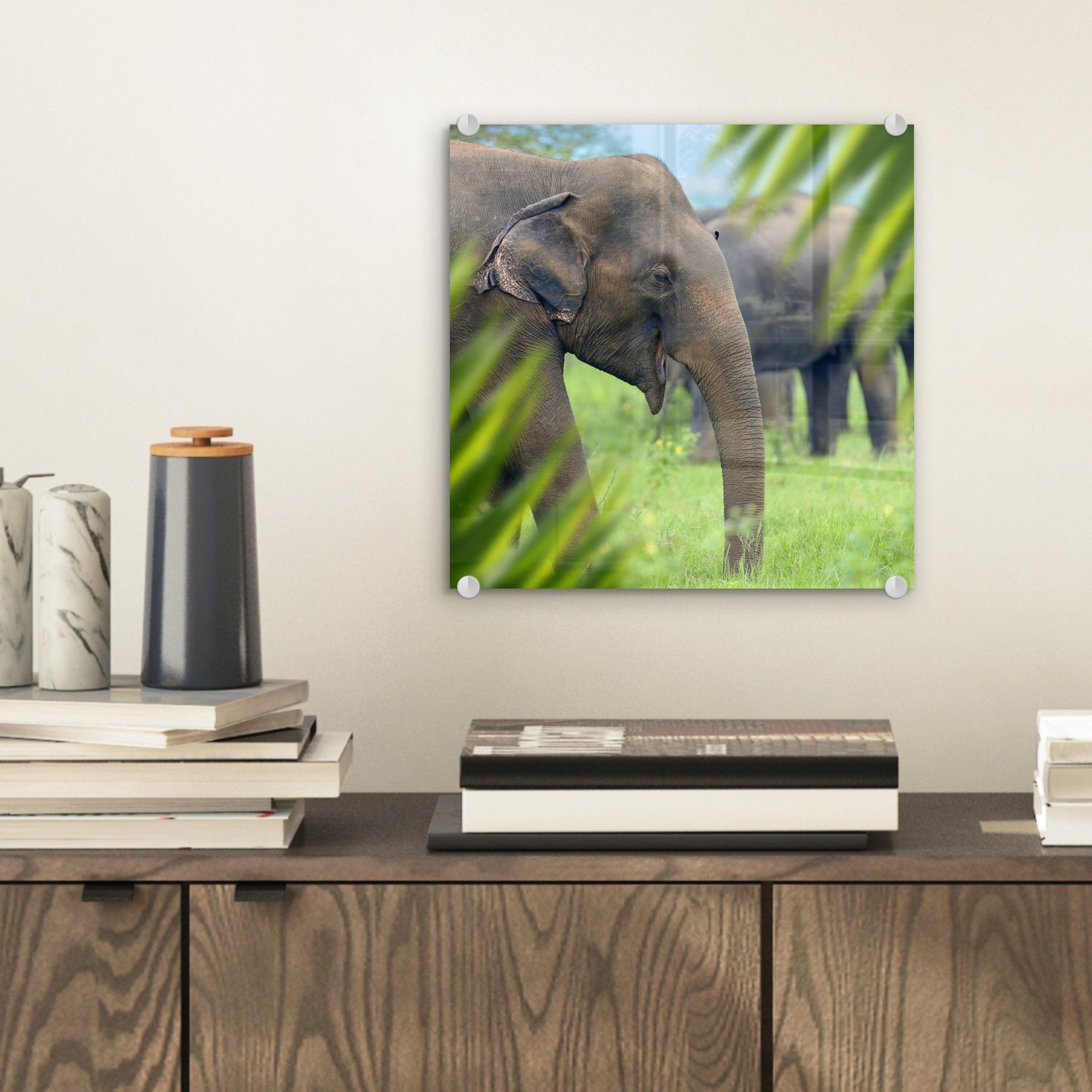 - Glasbilder - Tiere, Wandbild Bilder Foto - Palme (1 Acrylglasbild Wanddekoration Elefant - - Glas MuchoWow Glas St), auf auf