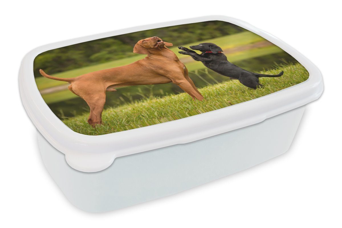 MuchoWow Lunchbox Ein Welpe spielt mit einem erwachsenen Hund, Kunststoff, (2-tlg), Brotbox für Kinder und Erwachsene, Brotdose, für Jungs und Mädchen weiß