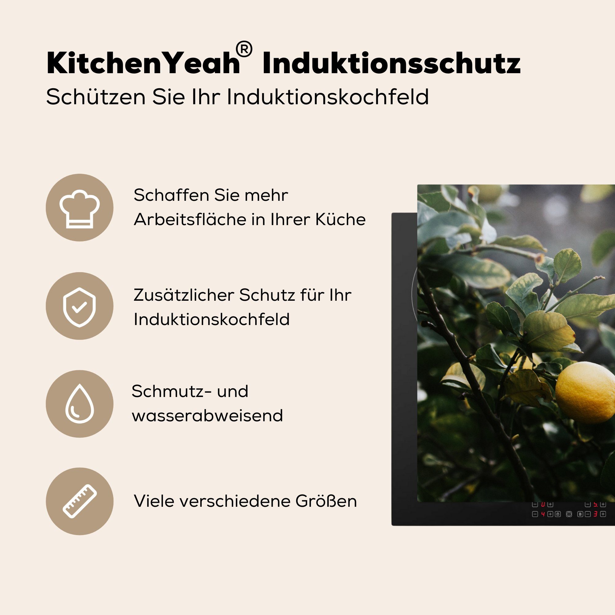 MuchoWow Herdblende-/Abdeckplatte Induktionskochfeld die Schutz cm, Vinyl, Zitronenbaum, küche, (1 für Ceranfeldabdeckung 81x52 tlg),