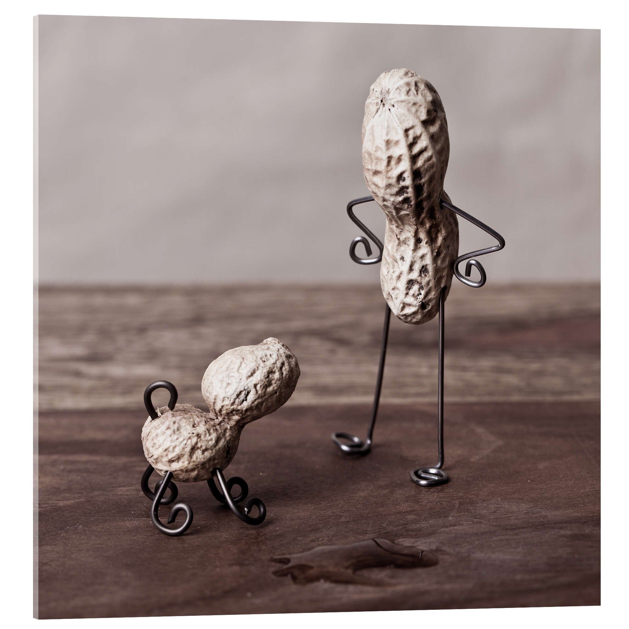 Posterlounge Wandbild Simple Things - Mein Hundefreund, Nailia Schwarz, erh günstig online kaufen