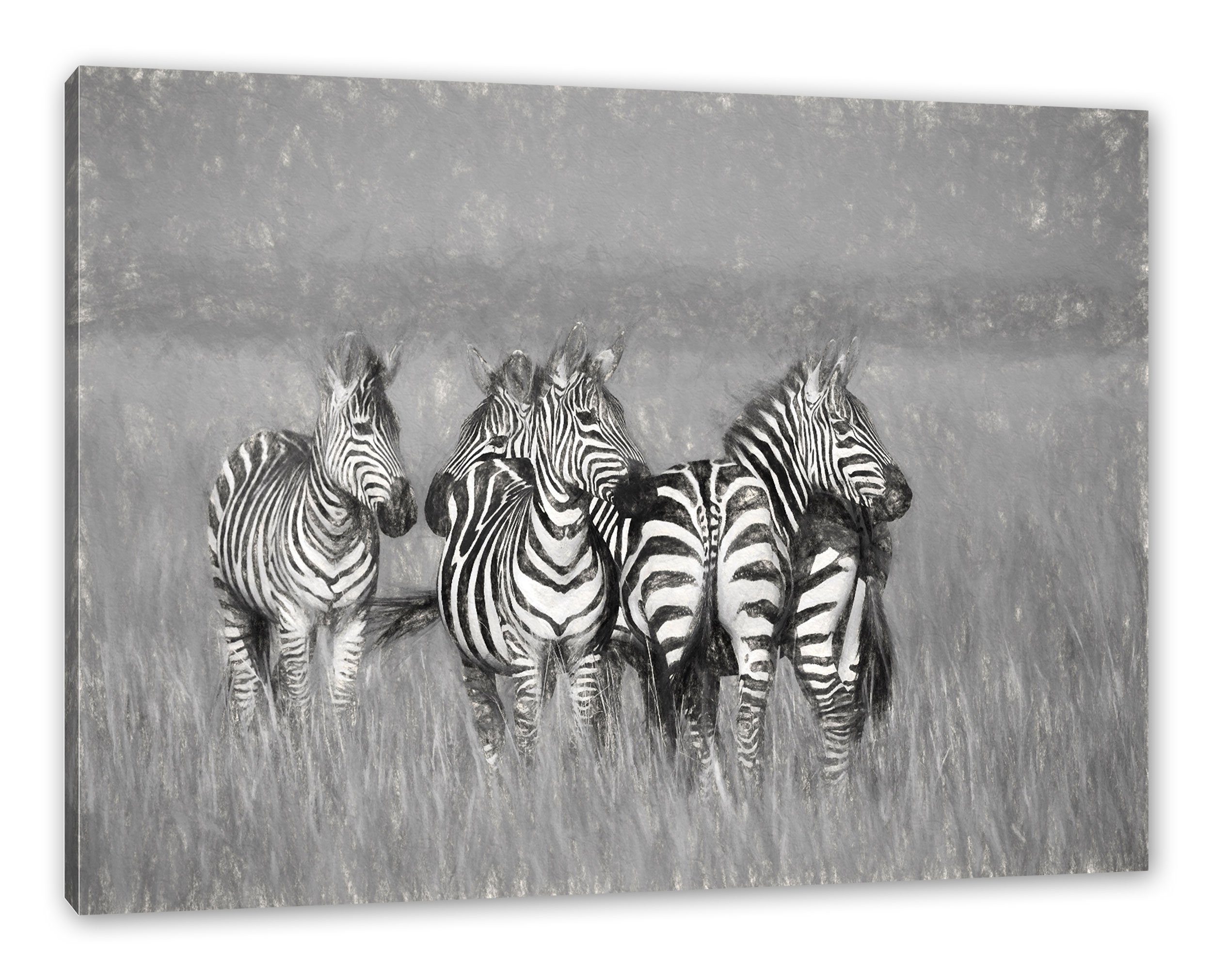 Pixxprint Leinwandbild Zebras in Savanne, Zebras in Savanne (1 St), Leinwandbild fertig bespannt, inkl. Zackenaufhänger