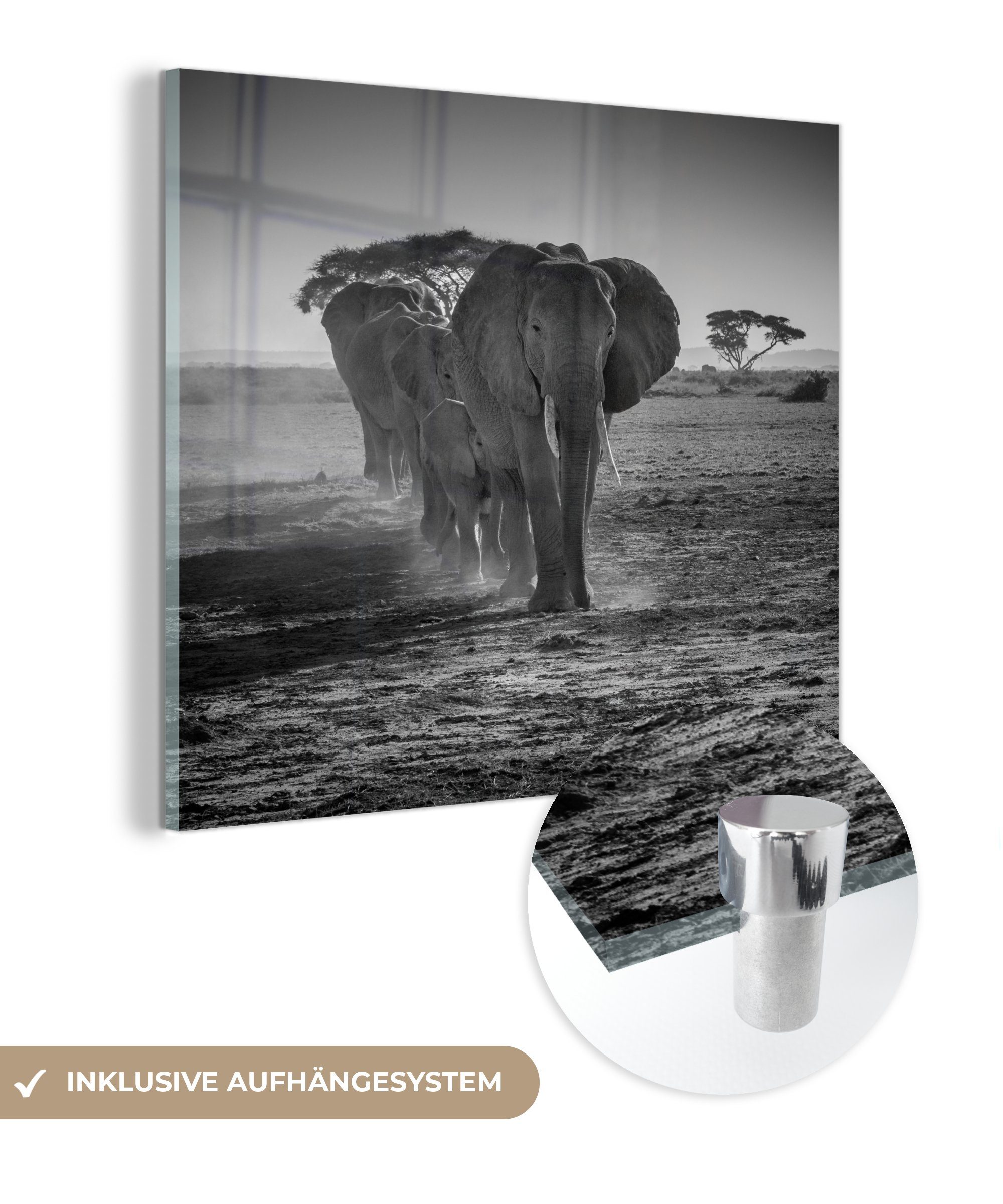 MuchoWow Acrylglasbild Elefant - Einfarbig - Tiere - Schwarz - Weiß, (1 St), Glasbilder - Bilder auf Glas Wandbild - Foto auf Glas - Wanddekoration