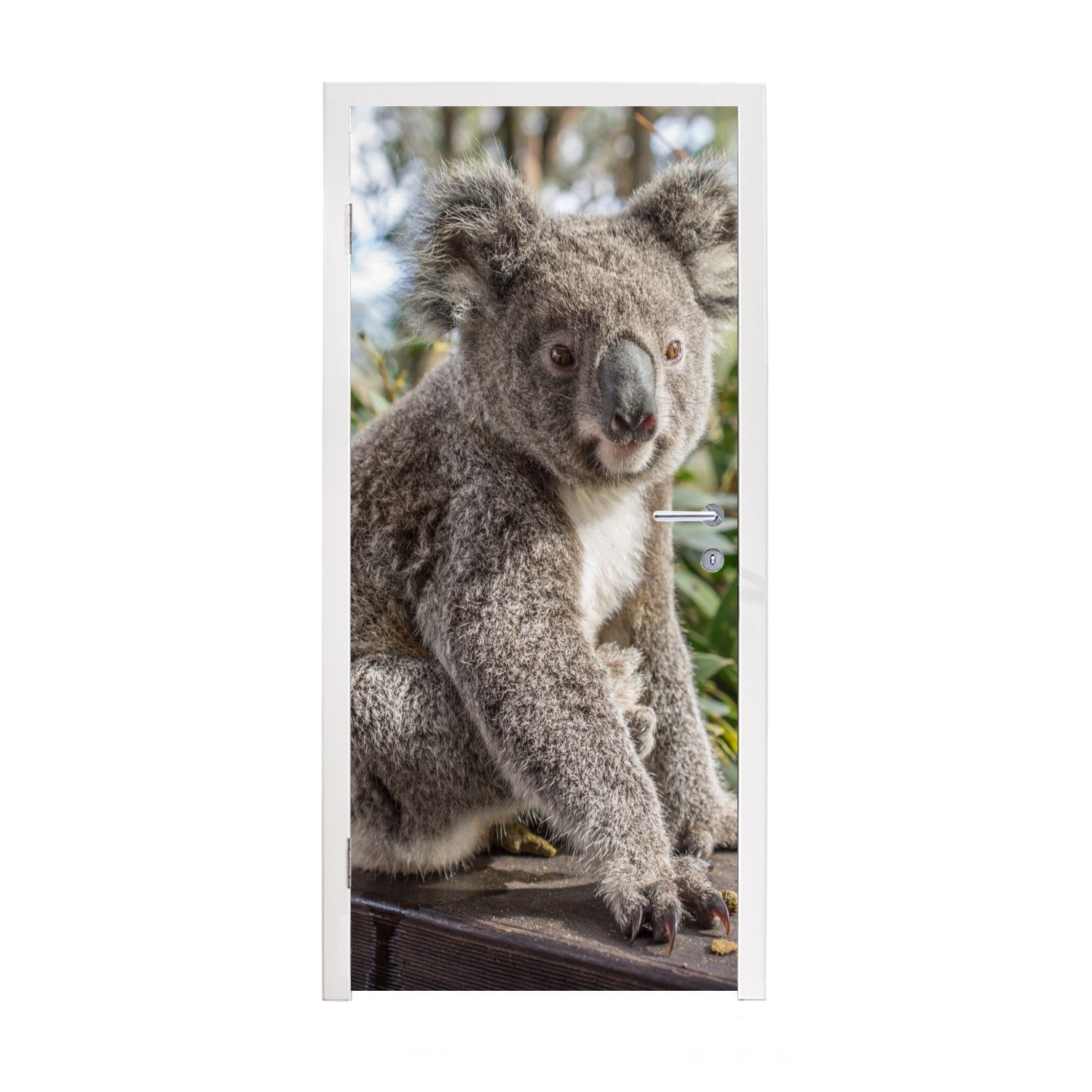 MuchoWow Türtapete Koala - Regal - Pflanzen - Kinder - Jungen - Mädchen, Matt, bedruckt, (1 St), Fototapete für Tür, Türaufkleber, 75x205 cm