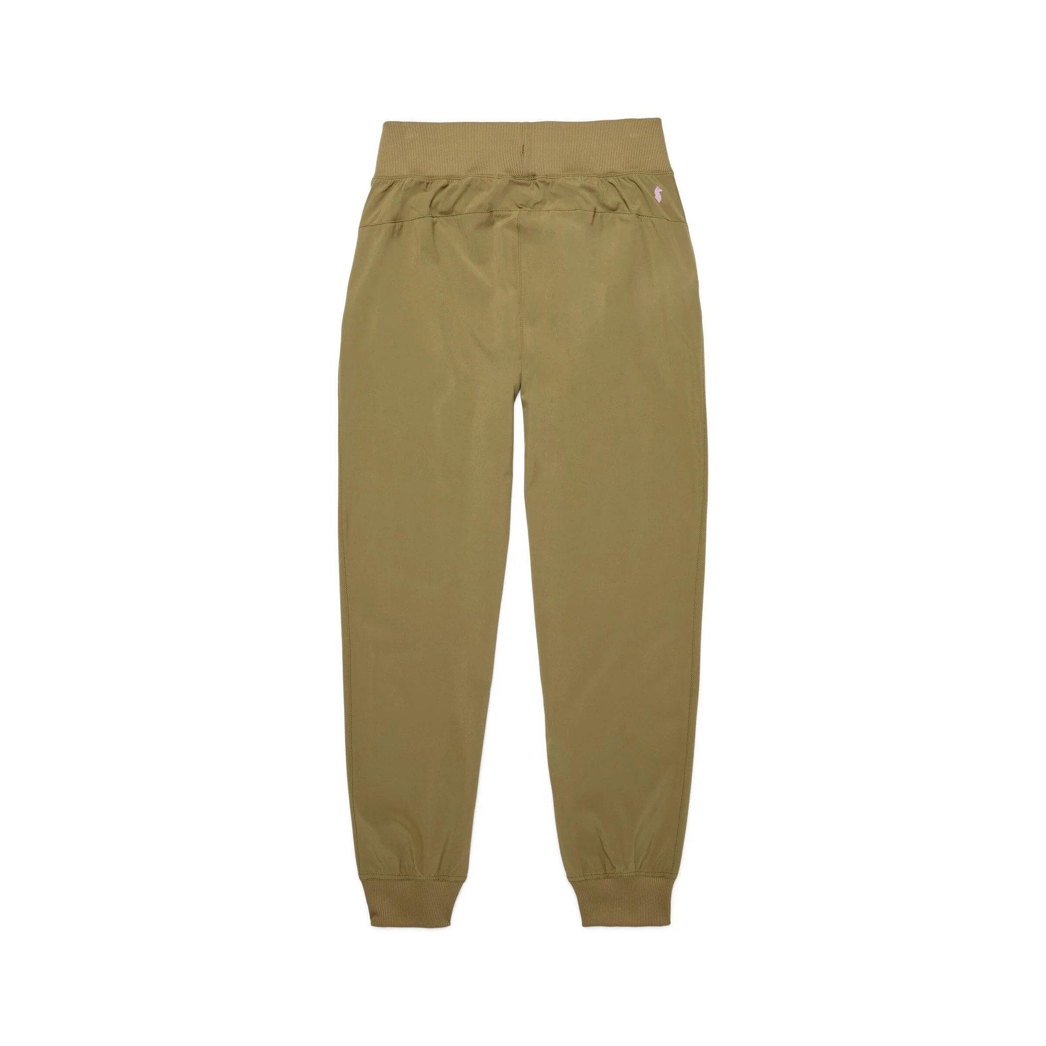 Cotopaxi Cargohose Cambio Jogger Moss