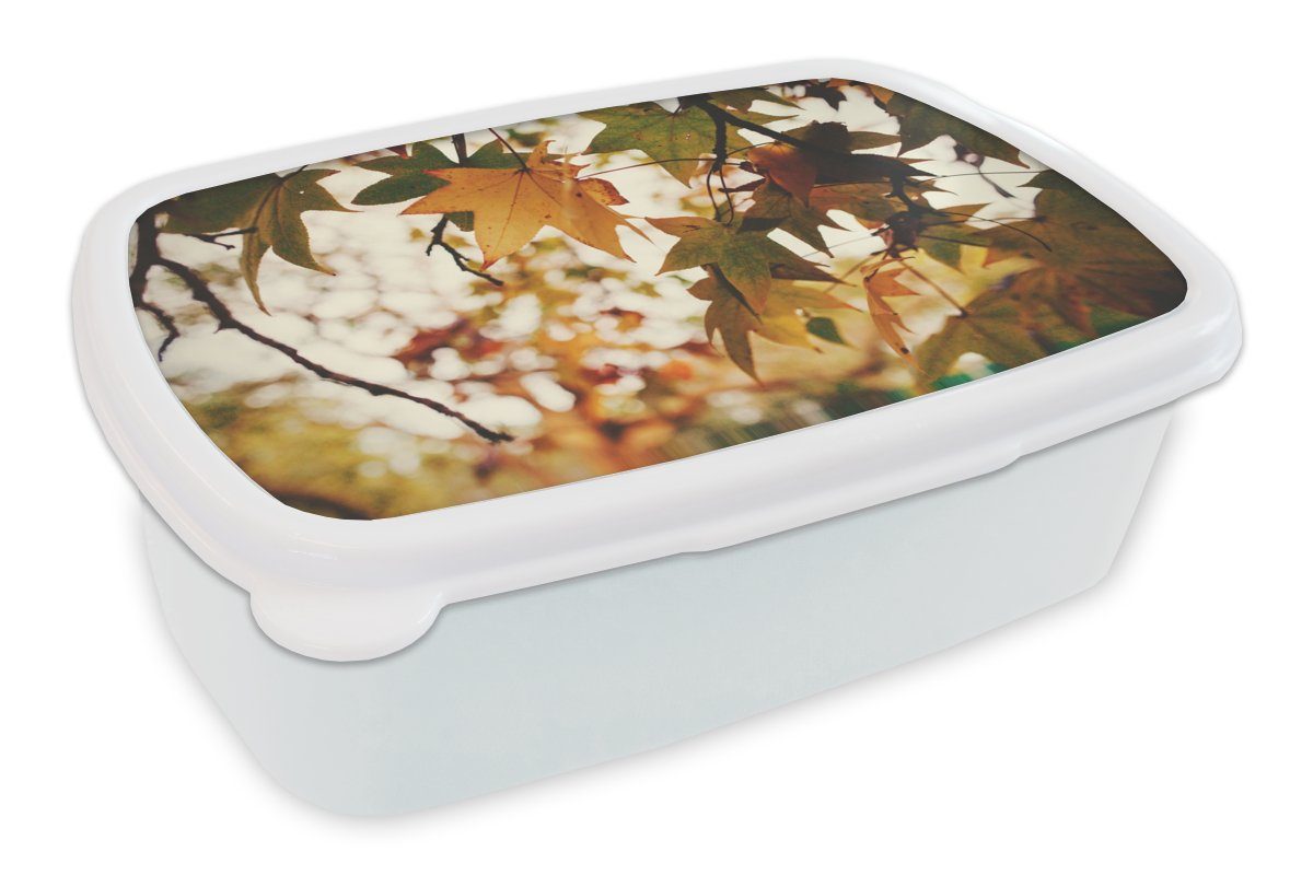 MuchoWow Lunchbox Natur - Herbstblätter - Rustikal, Kunststoff, (2-tlg), Brotbox für Kinder und Erwachsene, Brotdose, für Jungs und Mädchen weiß